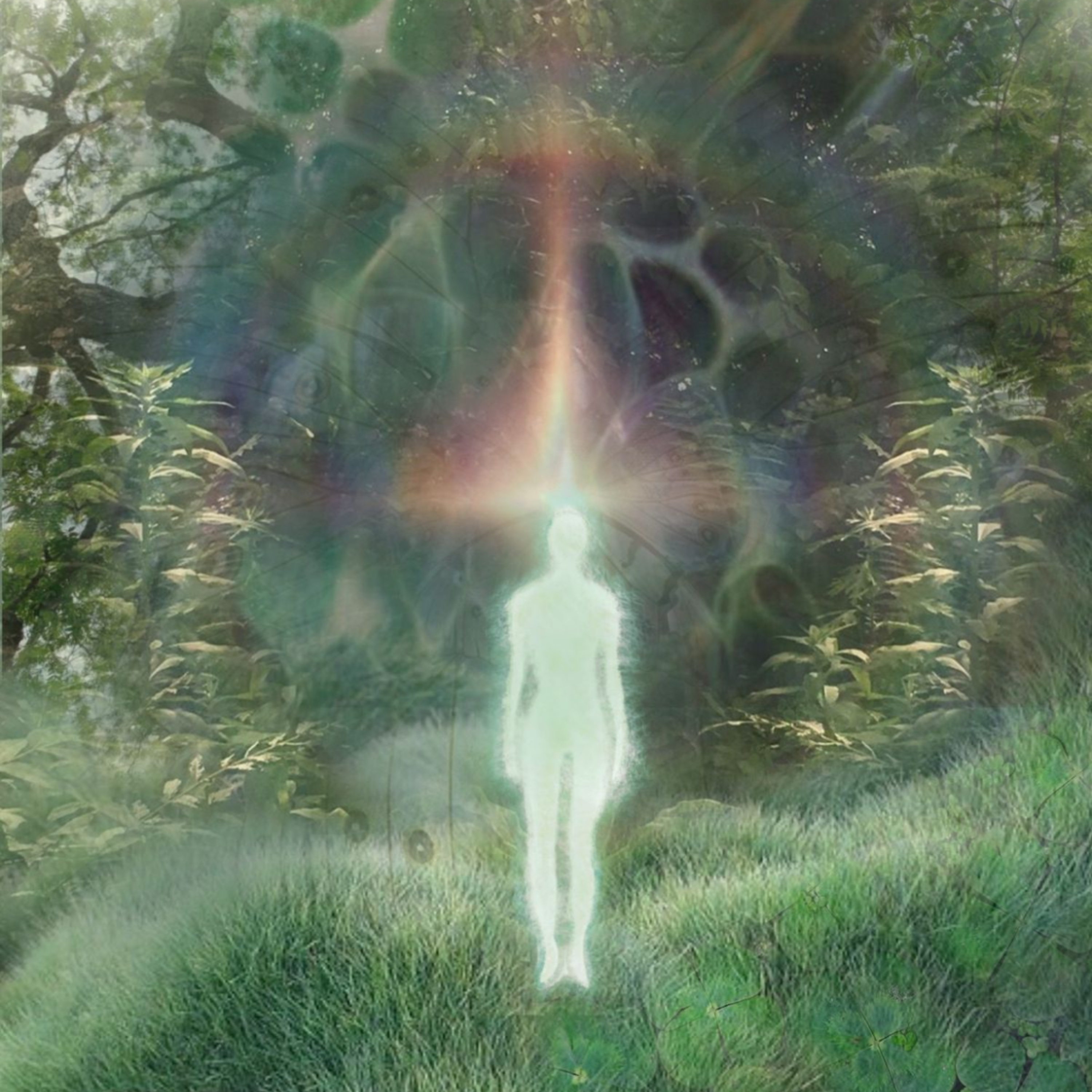 feelingofhealing