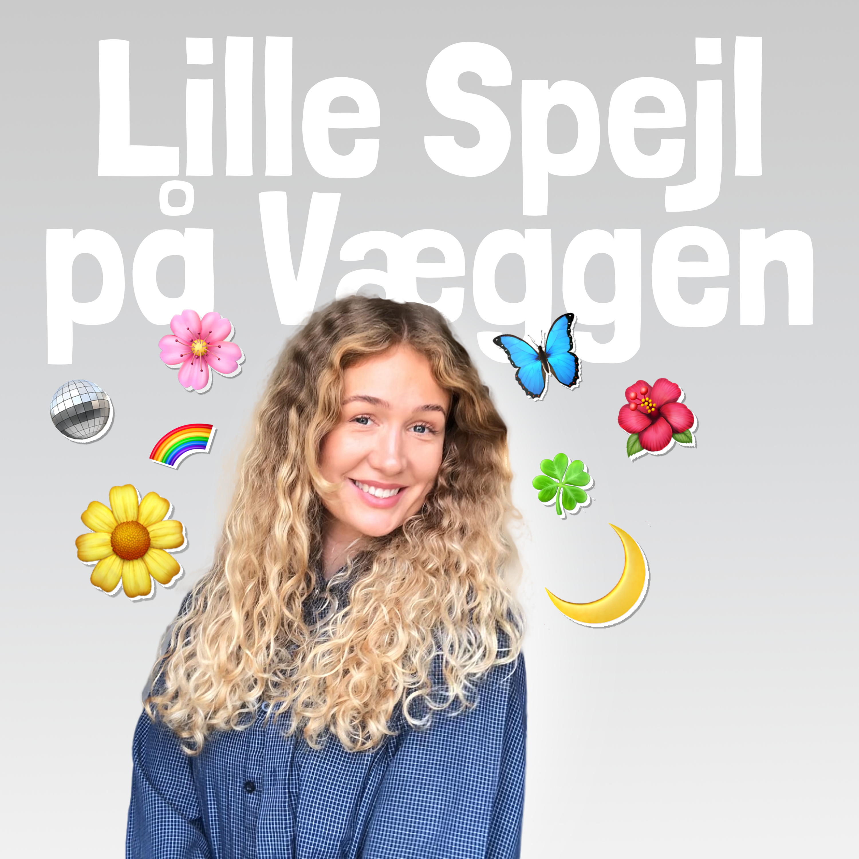 Lille Spejl på Væggen