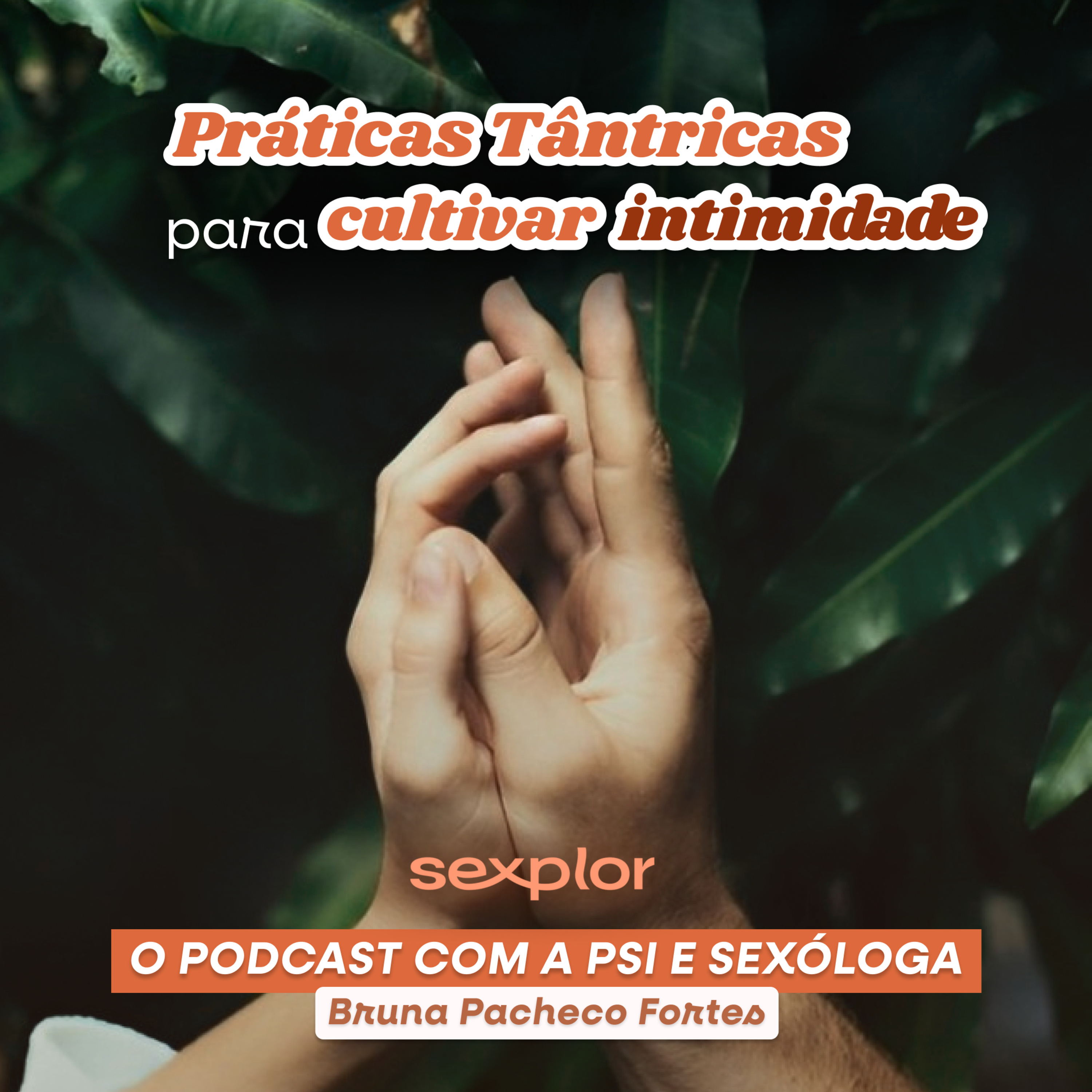 Sexplor