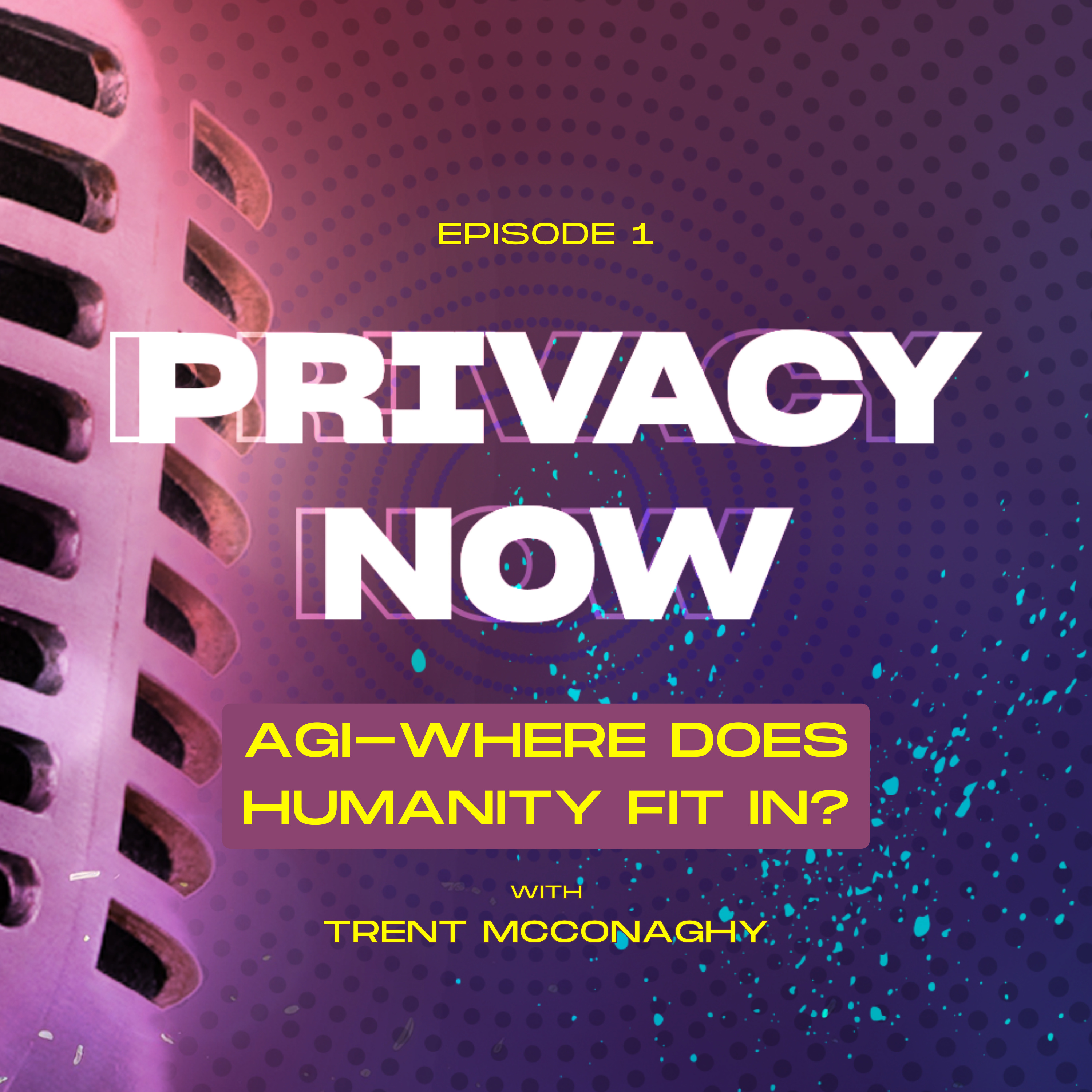 Privacy Now - Privacy, Web3 and AI