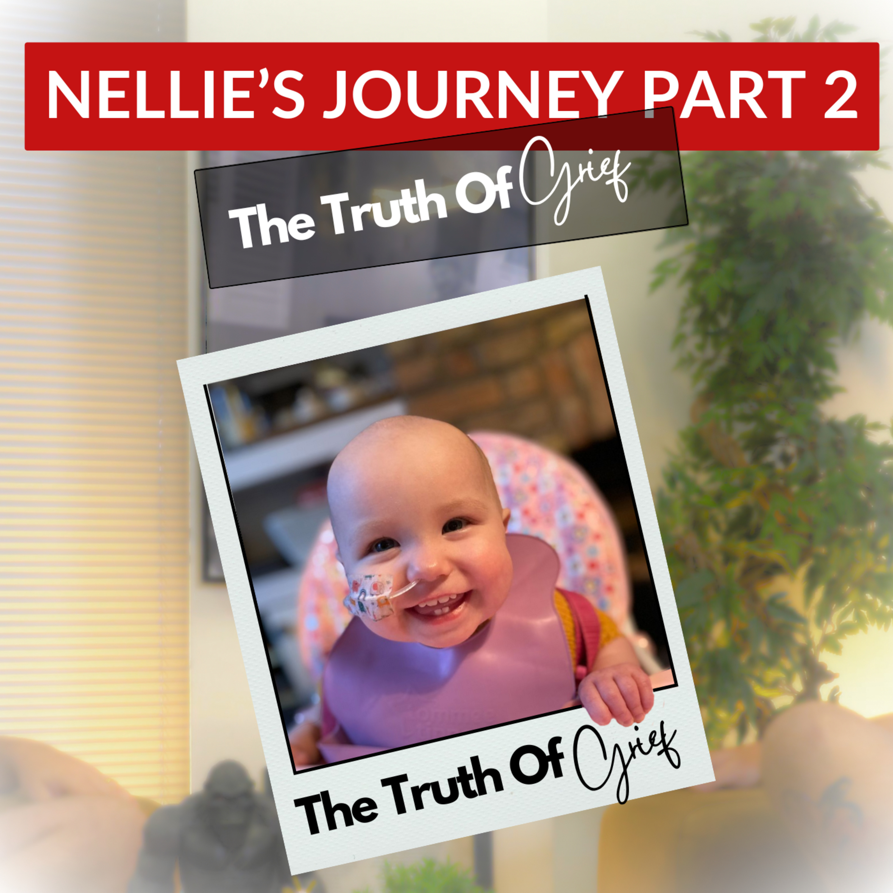Nellie's Journey (Part 2) episode artwork