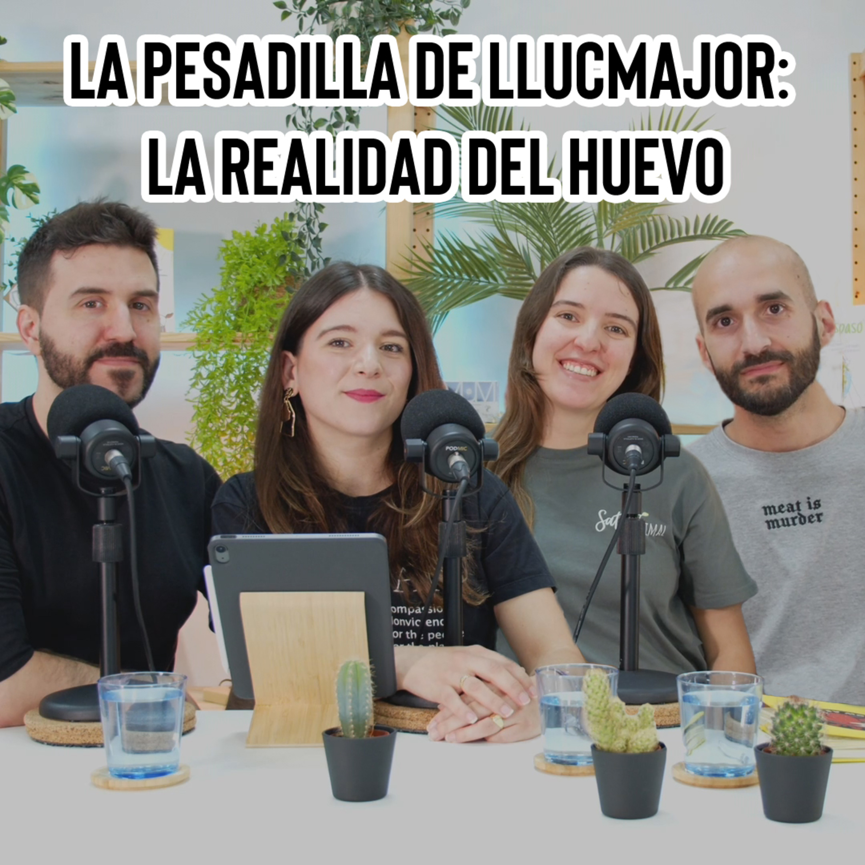La pesadilla de Llucmajor: La realidad del huevo episode artwork
