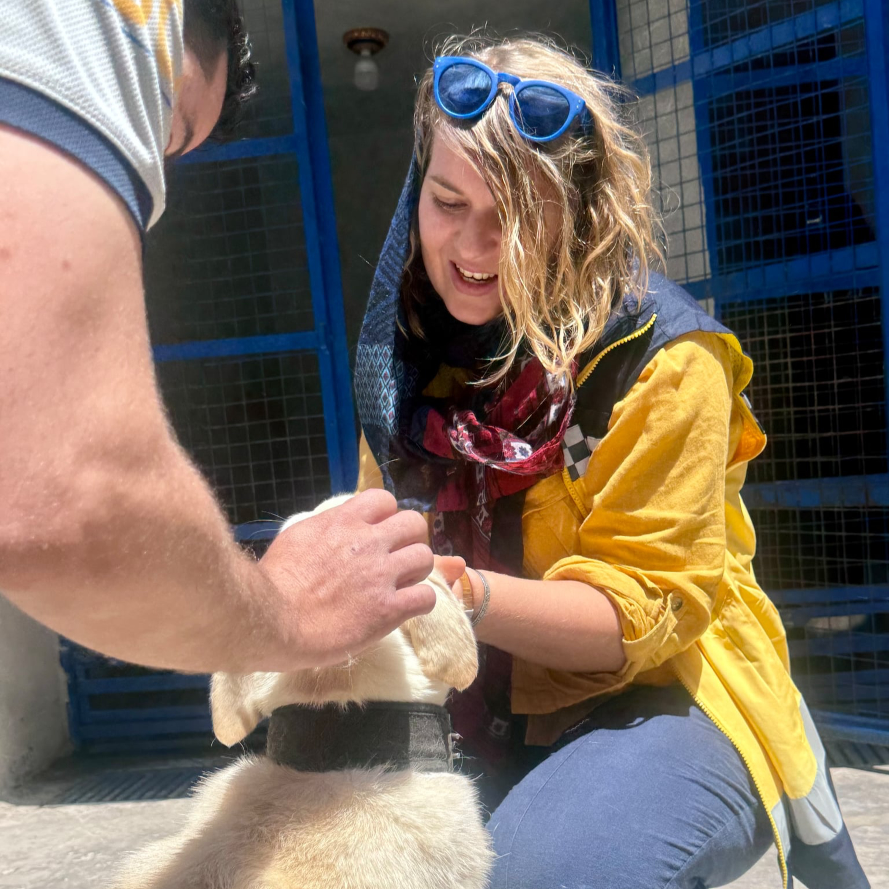 Dział Dostępności