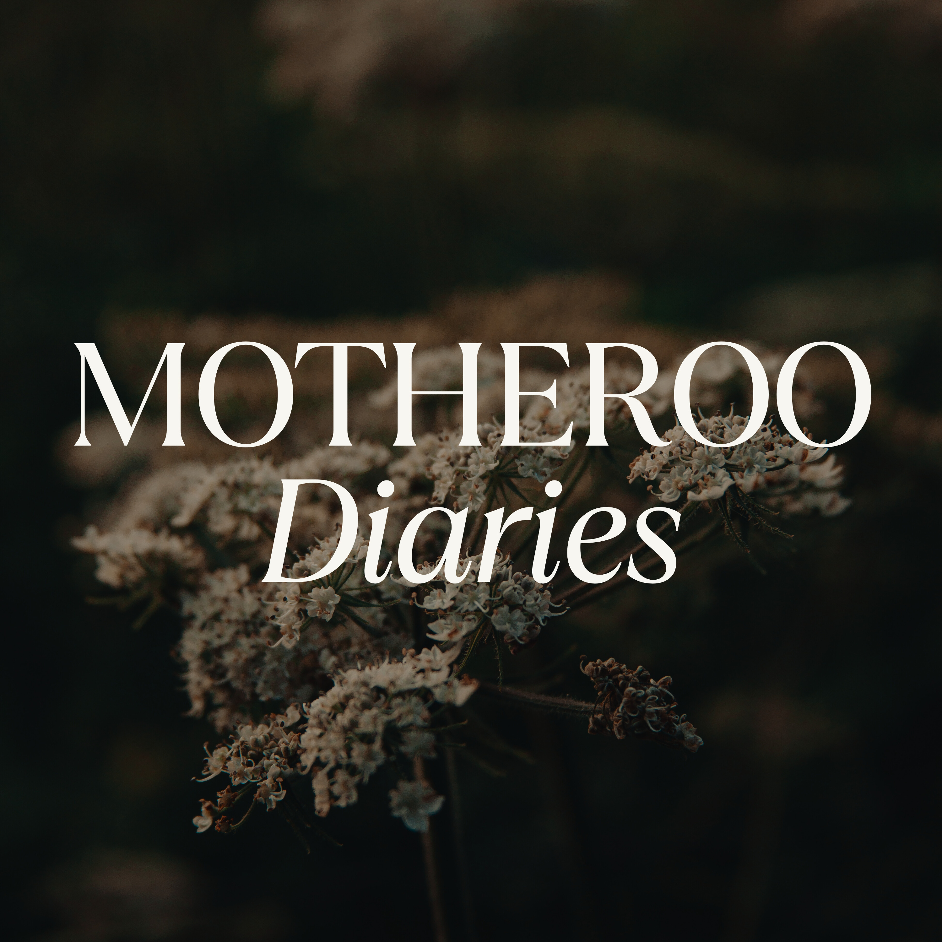 Motheroo Diaries: When It’s Just You and the Baby - The Reality of Solo Parenting episode artwork