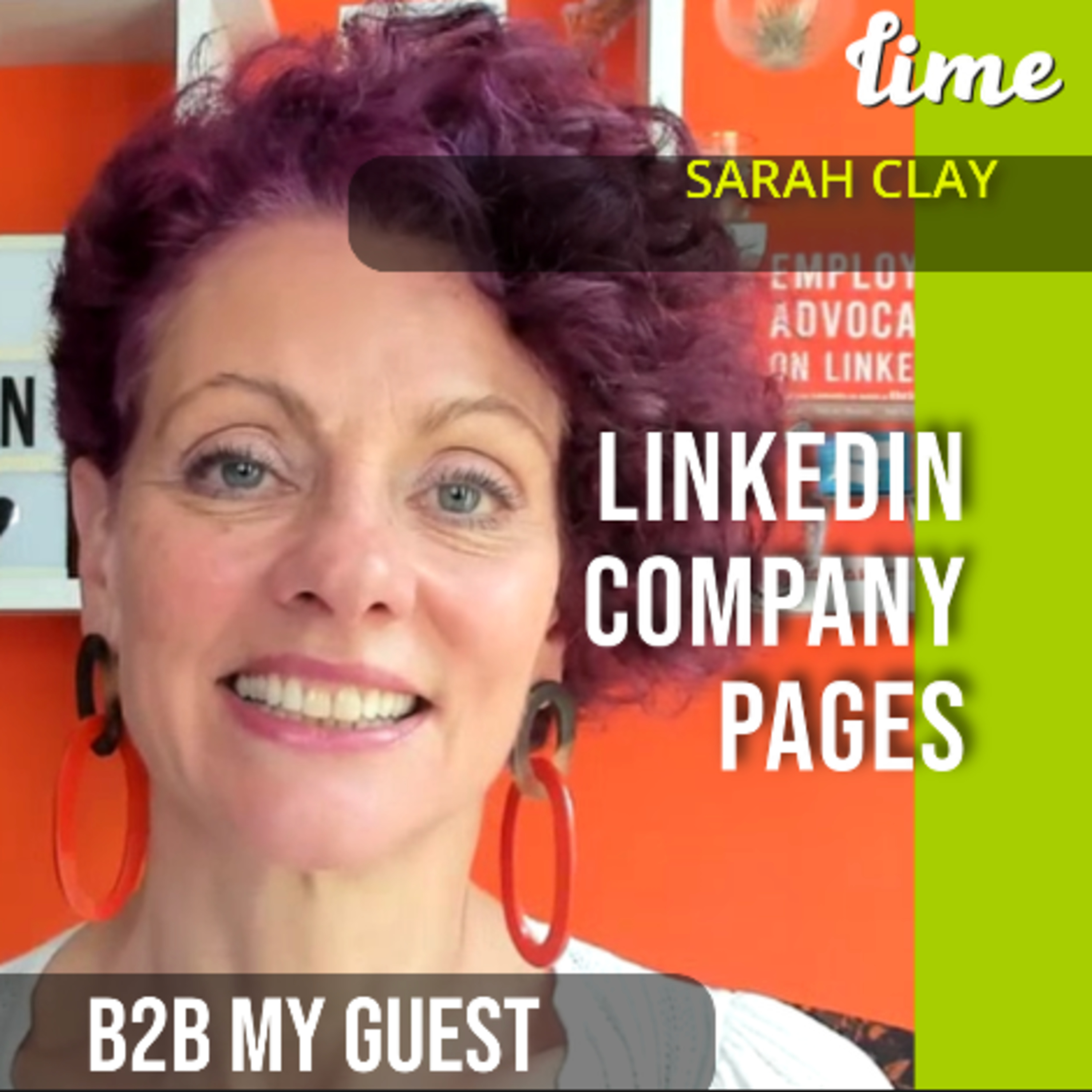 Use LinkedIn Business Pages to Create a Thriving Company Culture and Make Sales | B2B My Guest by The Lime One