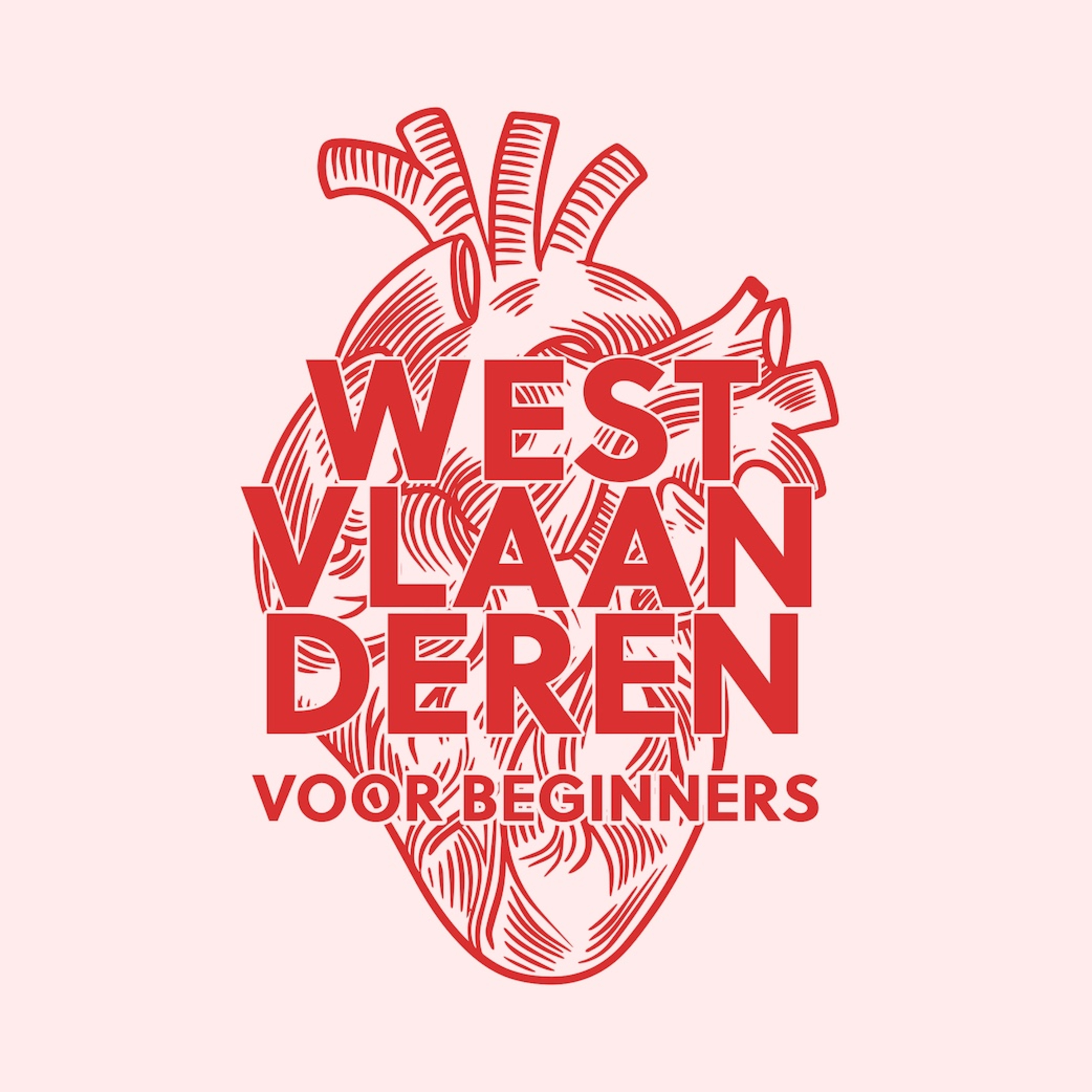 Trailer West-Vlaanderen voor beginners episode artwork