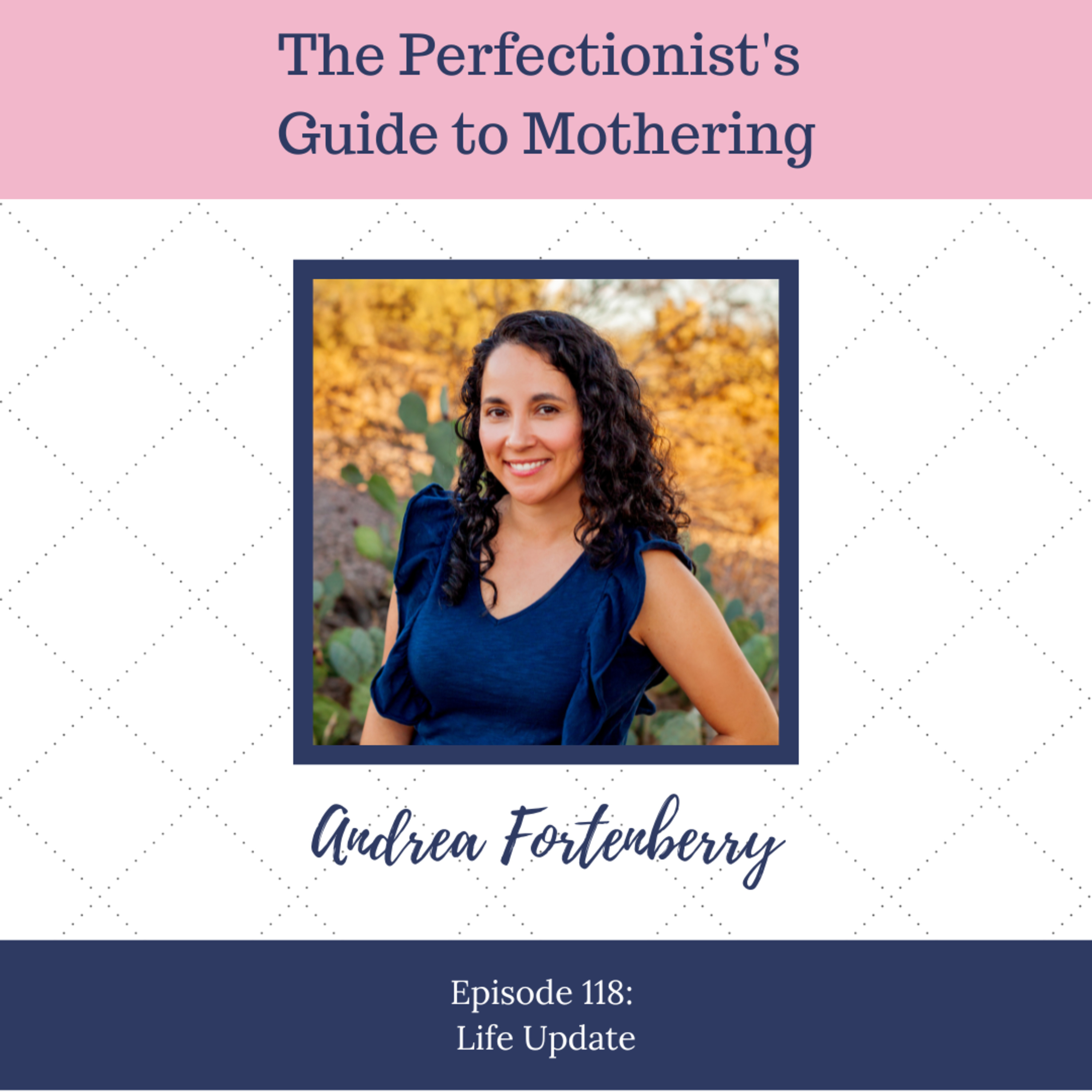 The Perfectionist\'s Guide to Mothering with Andrea Fortenberry