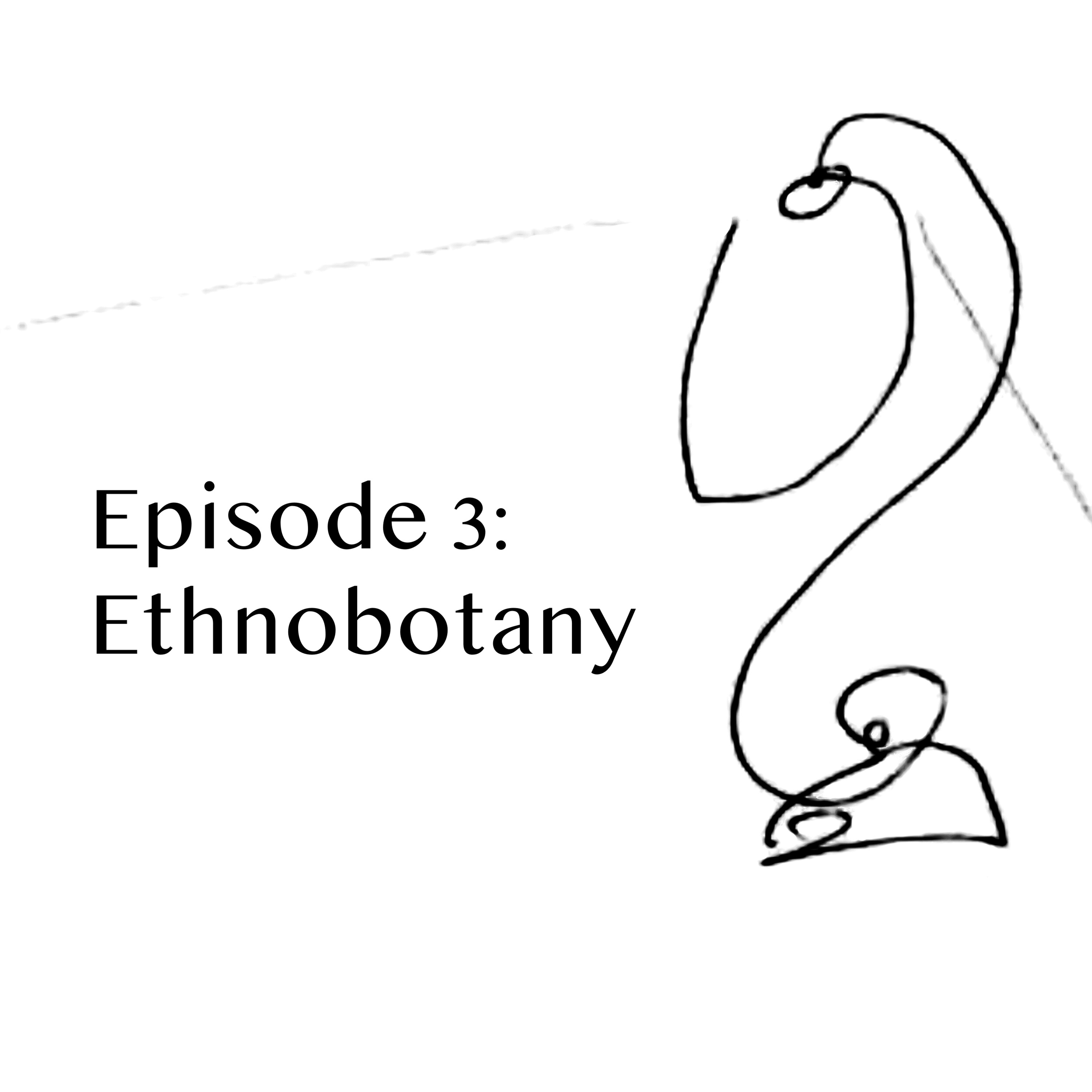 Episode 3: Ethnobotany episode artwork