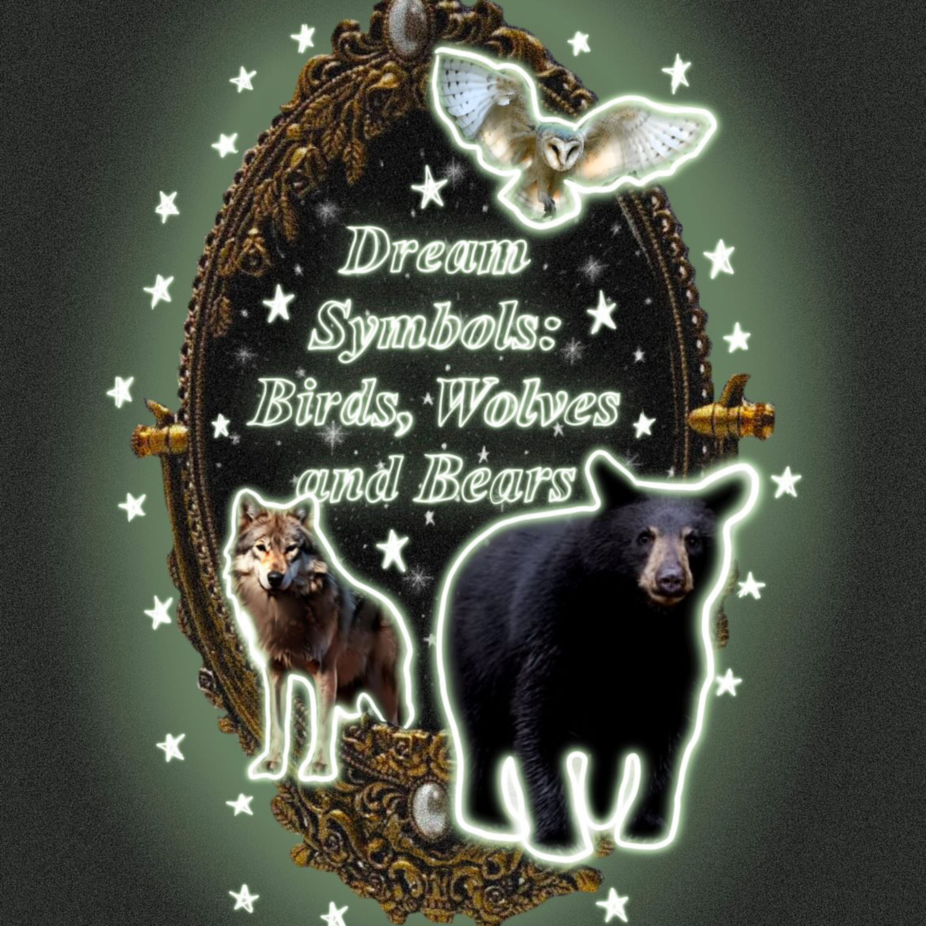 ep 9: Dream Symbols: Birds, Wolves & Bears episode artwork