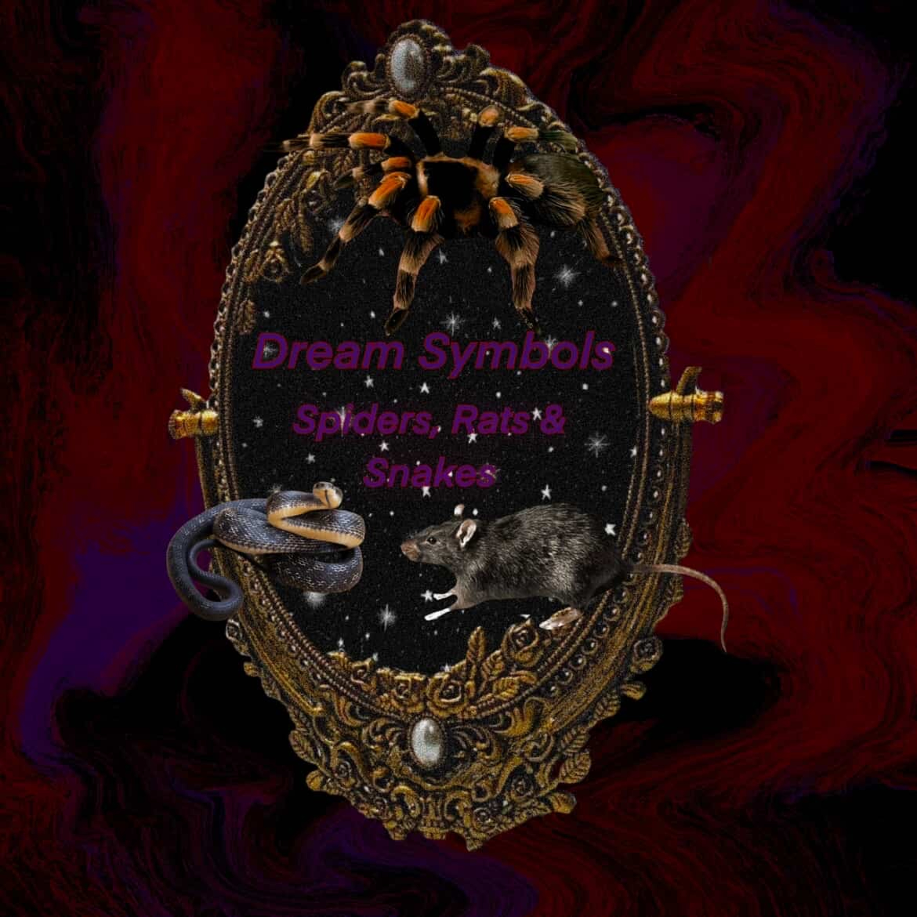 s1 ep 42: Dream Symbols: Spiders, Rats, & Snakes episode artwork