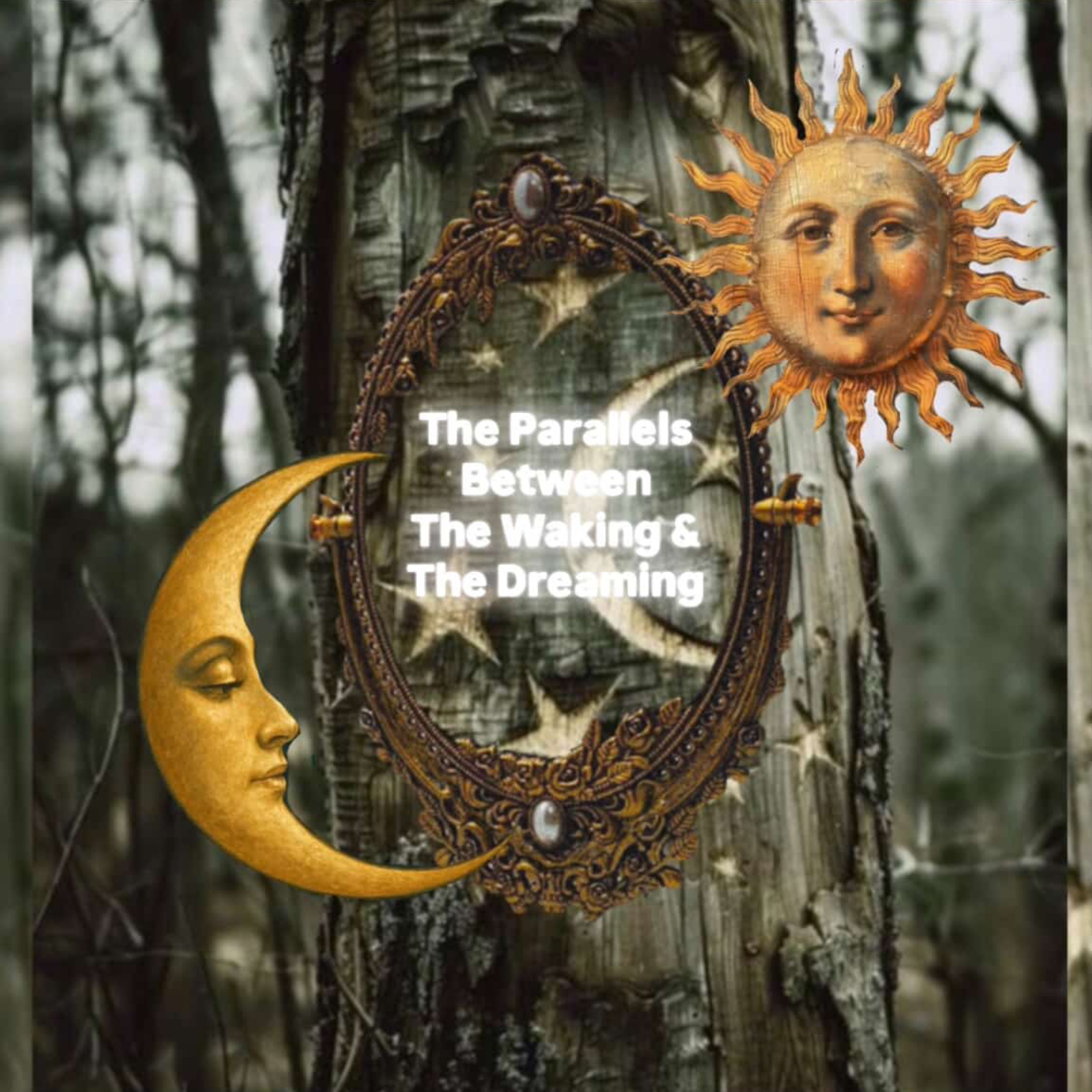 s2 e5: The Parallels Between the Dreaming & the Waking episode artwork