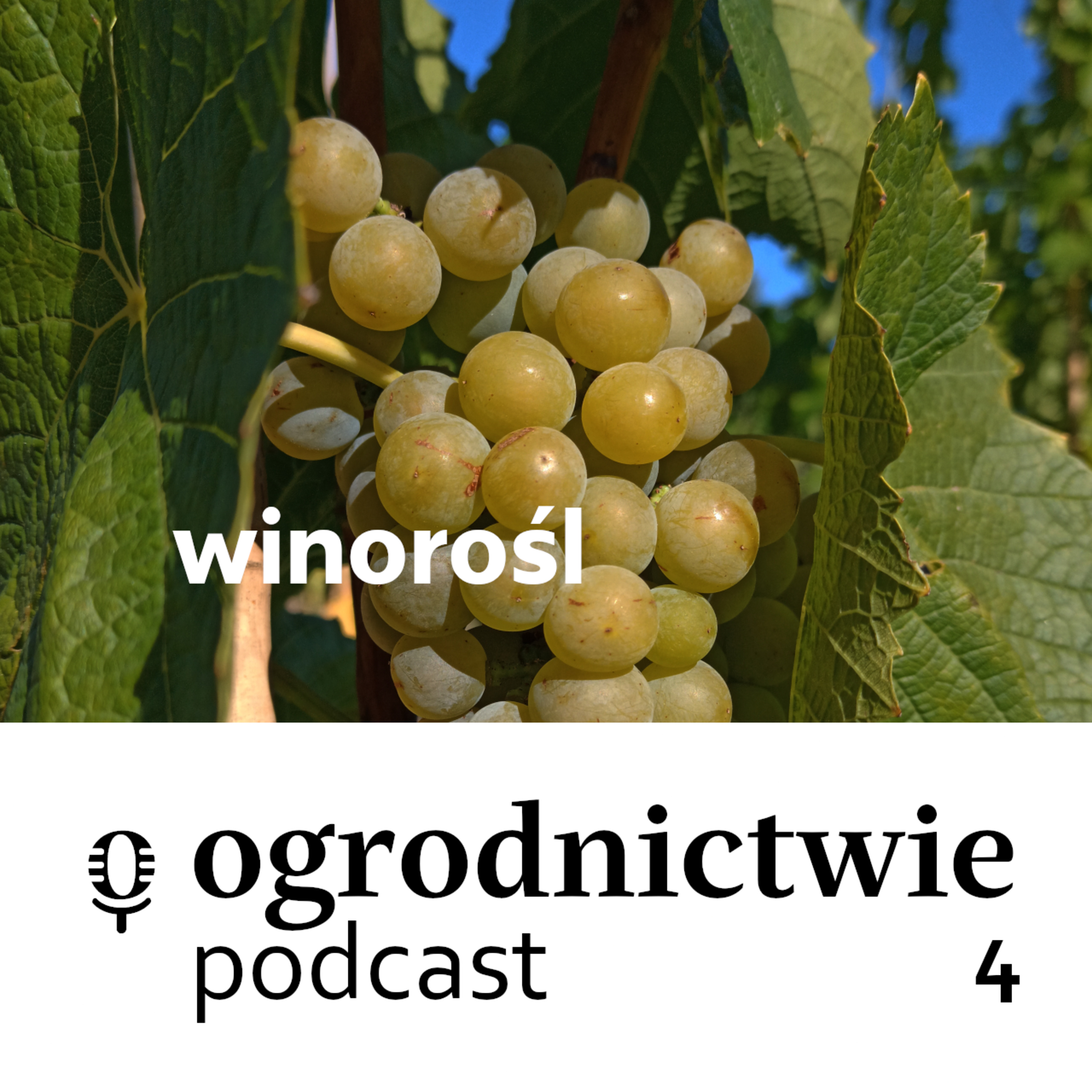 o ogrodnictwie