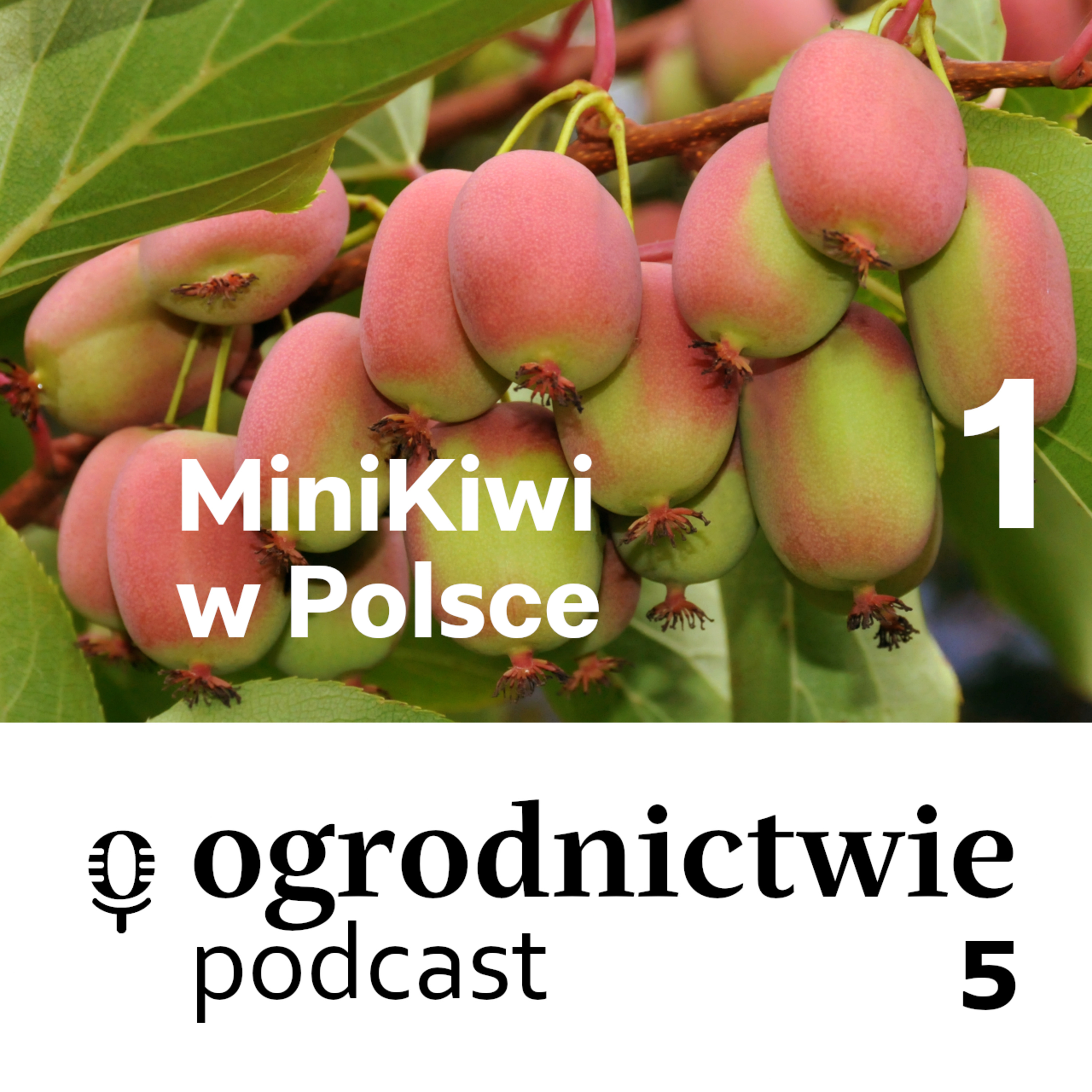 o ogrodnictwie
