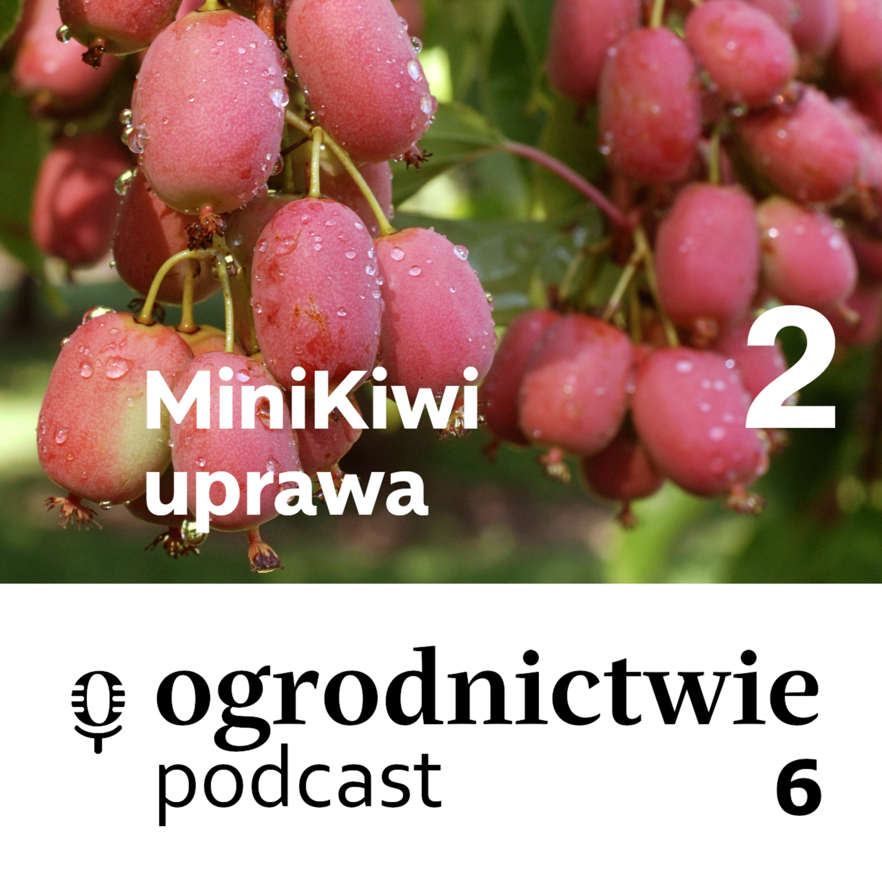 o ogrodnictwie