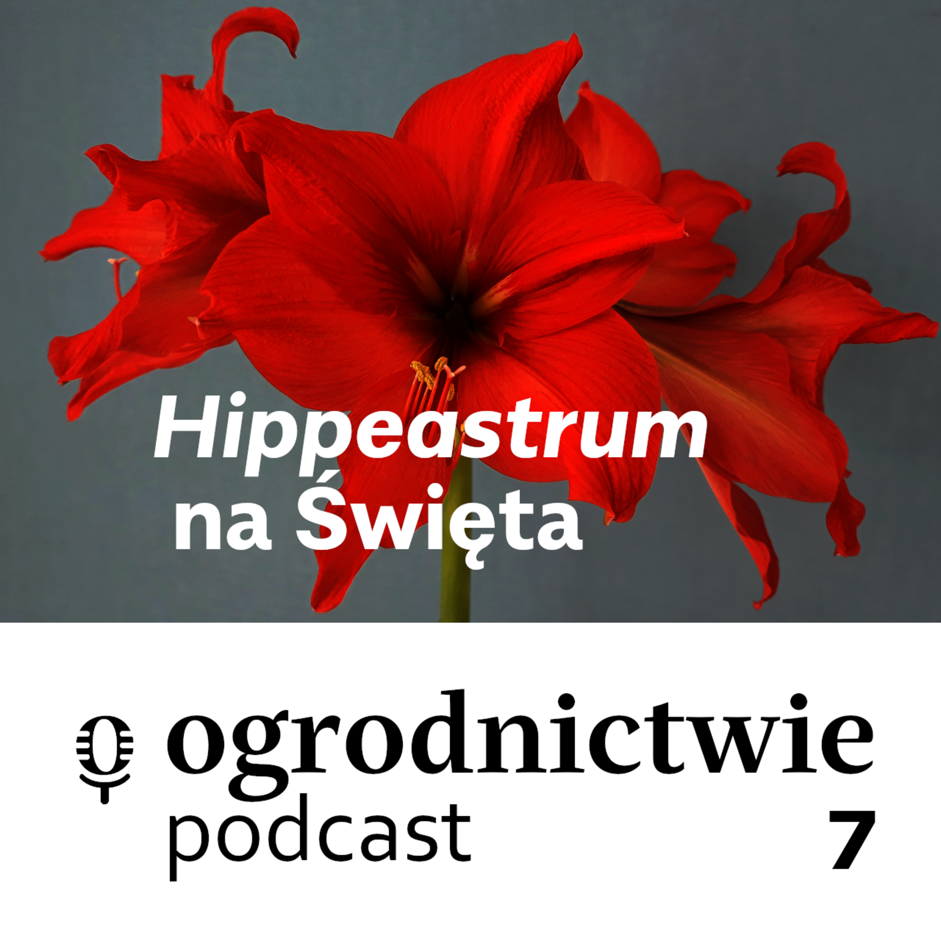 o ogrodnictwie