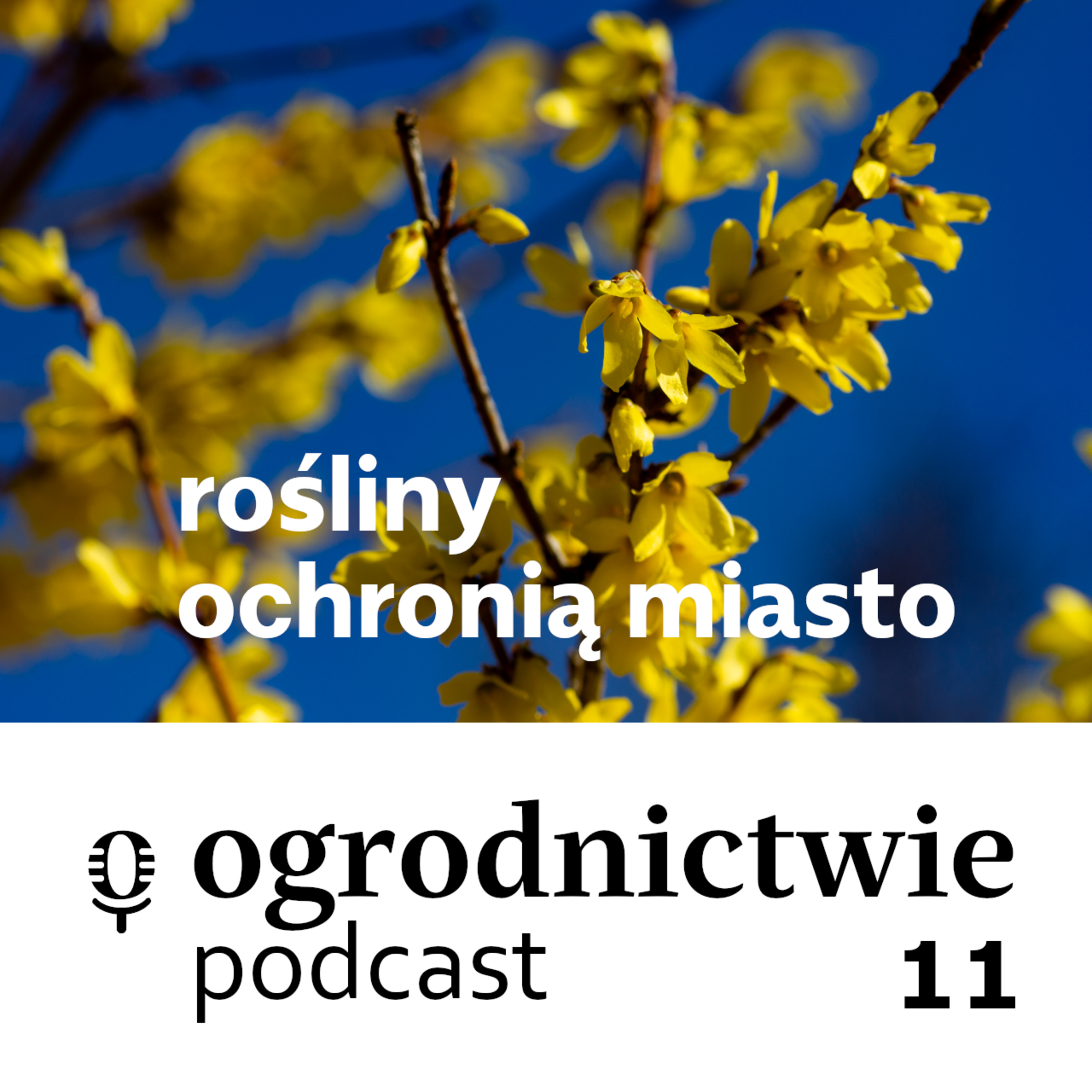 o ogrodnictwie