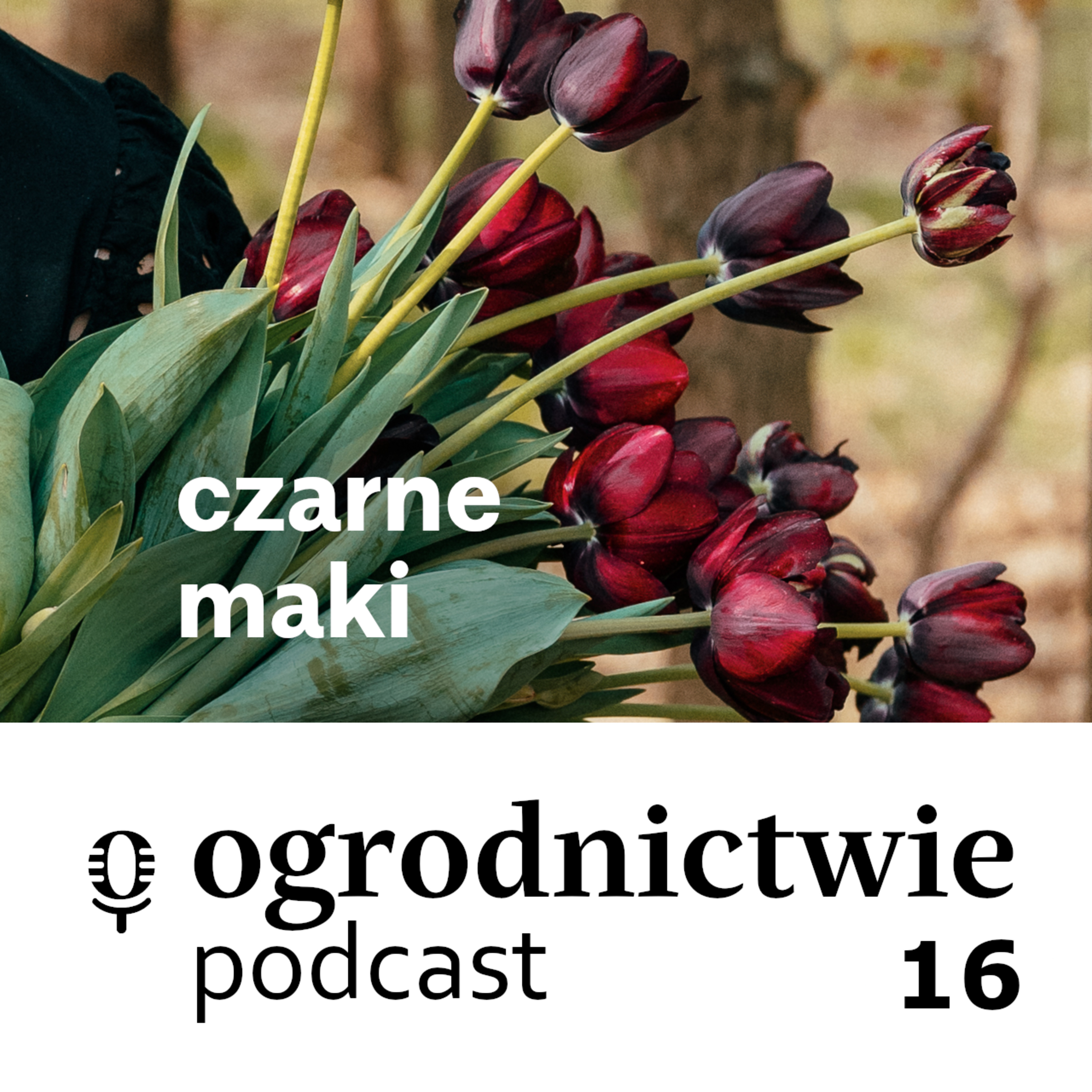 o ogrodnictwie