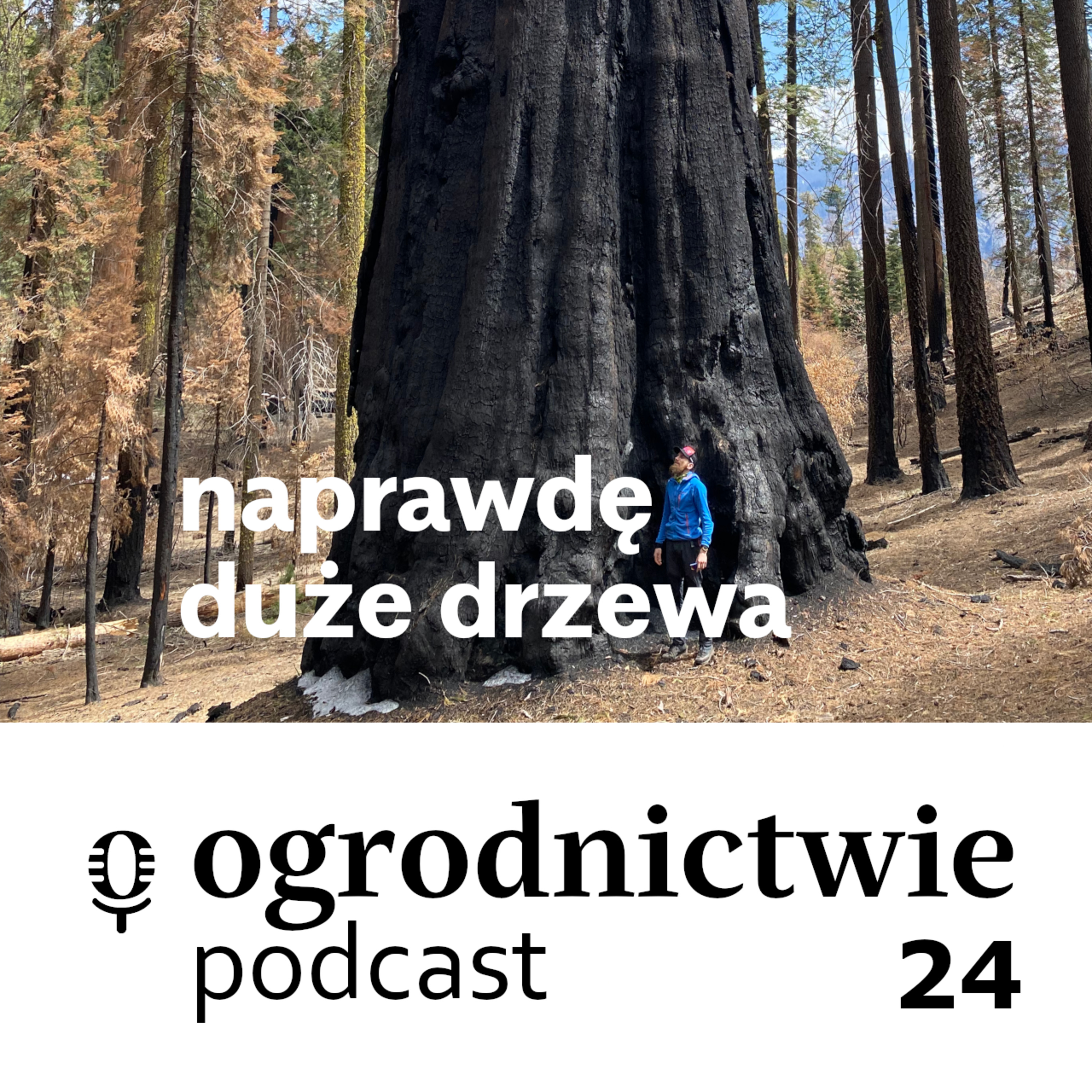 o ogrodnictwie