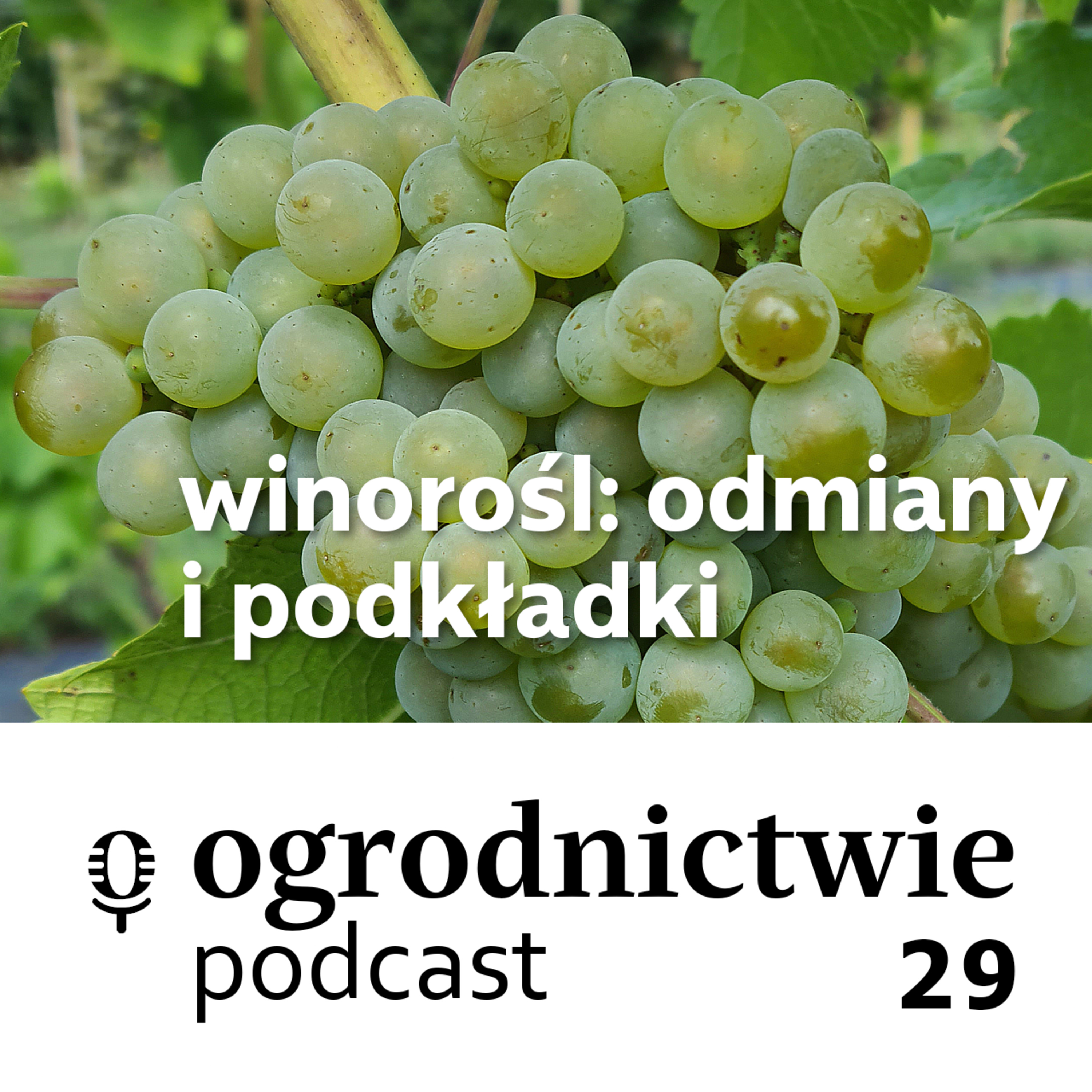 o ogrodnictwie