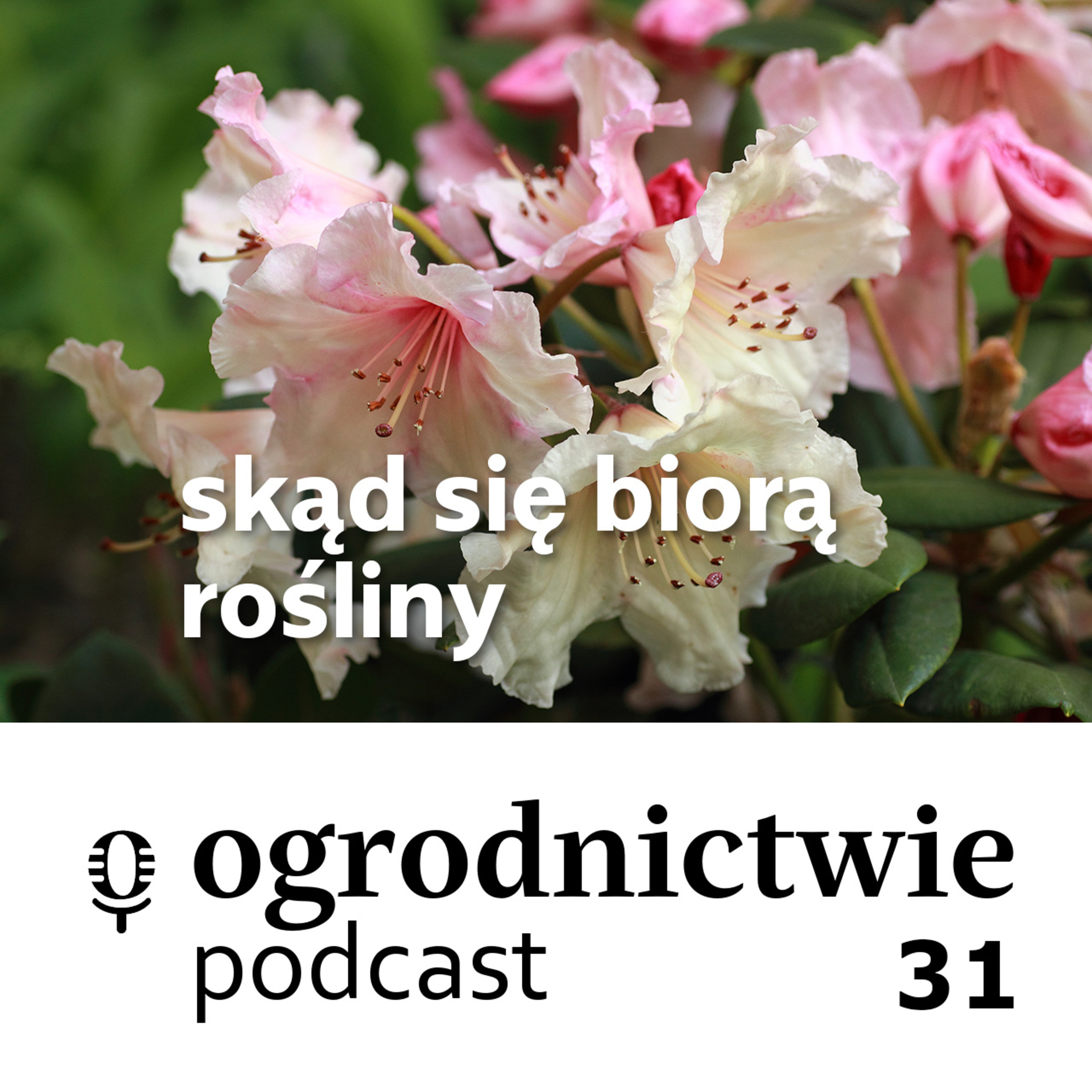 #031 skąd się biorą rośliny - o ogrodnictwie episode artwork
