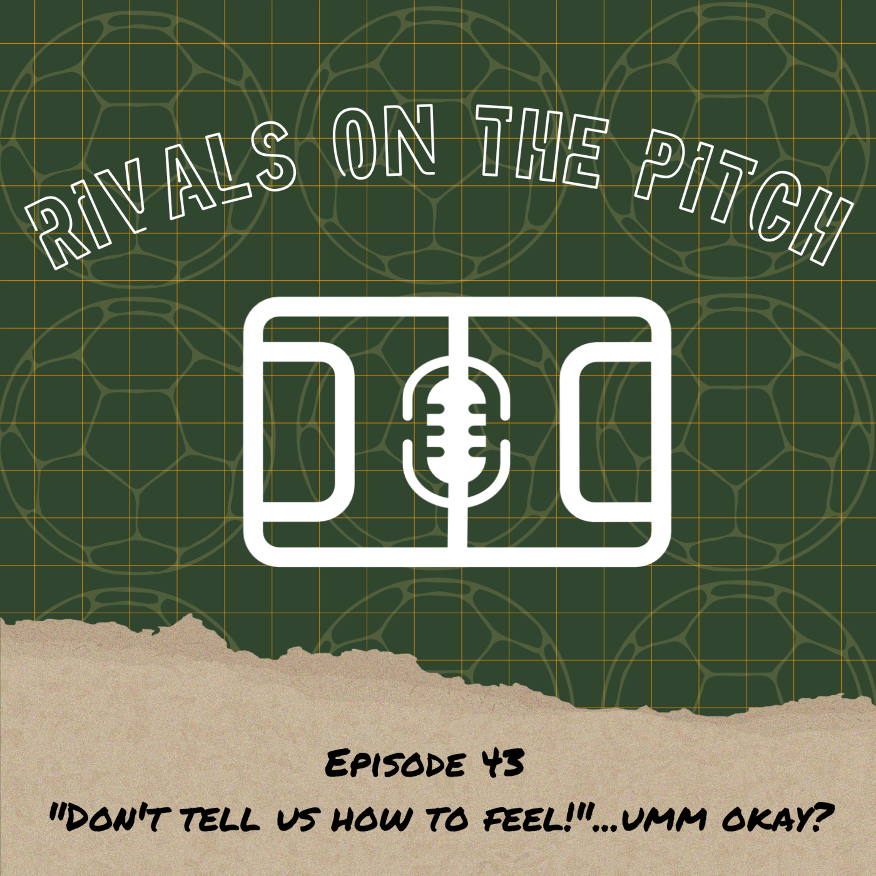 EP43: "Don't tell us how to feel!"...umm okay? episode artwork