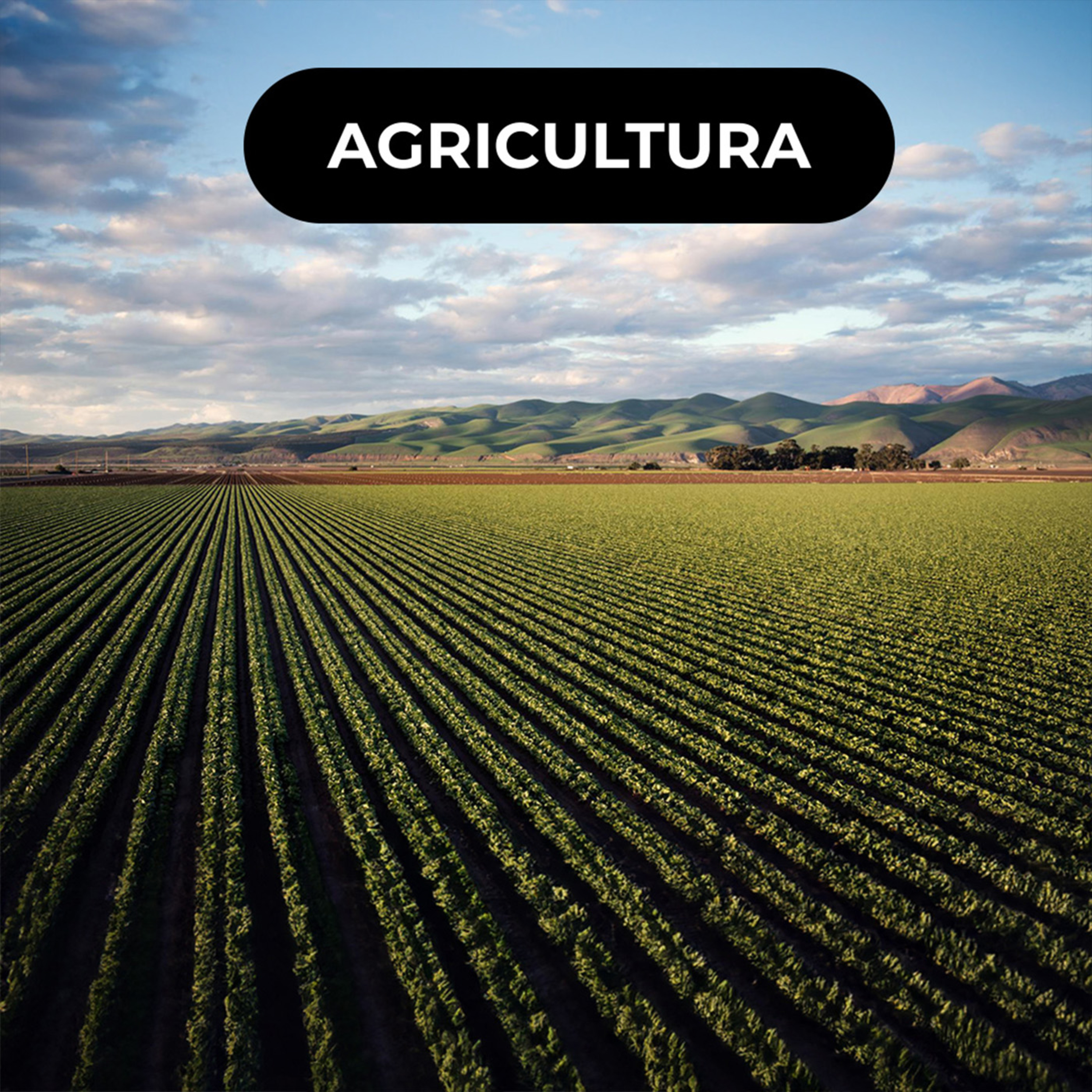 👩‍🌾 Feve impulsiona nova geração de agricultores episode artwork