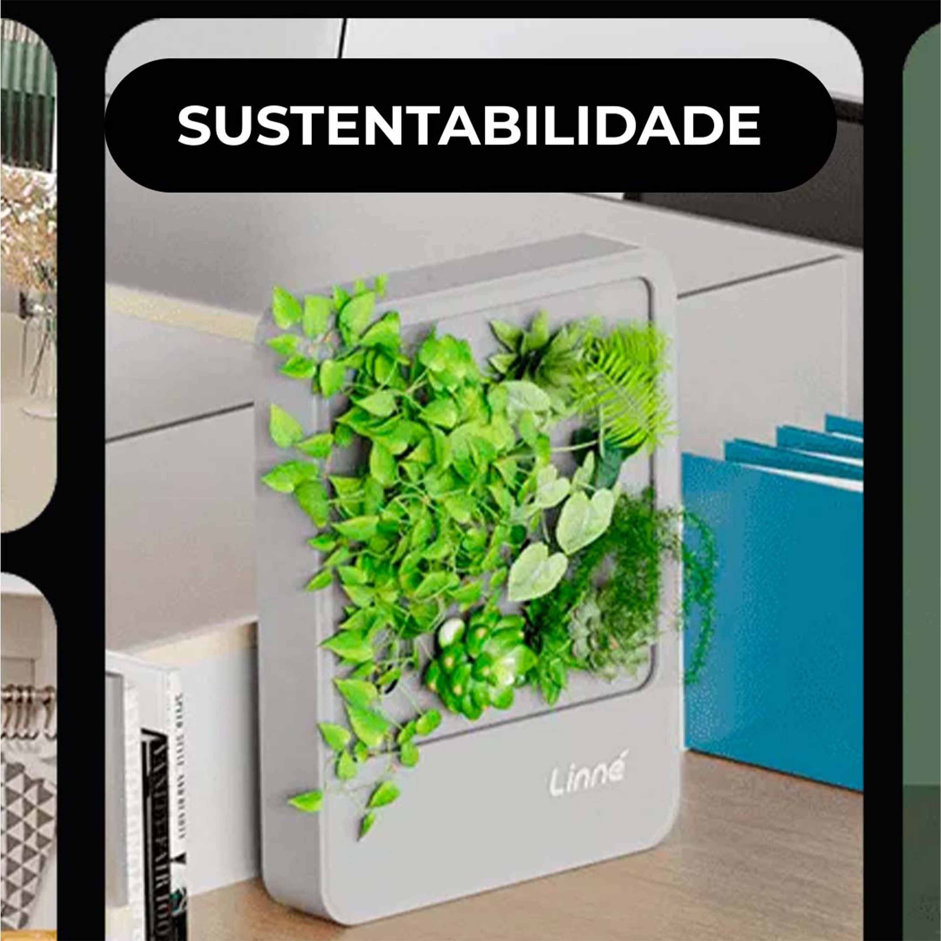 🌿 Linné Box, um jardim vertical com rega automática ideal para qualquer lado episode artwork