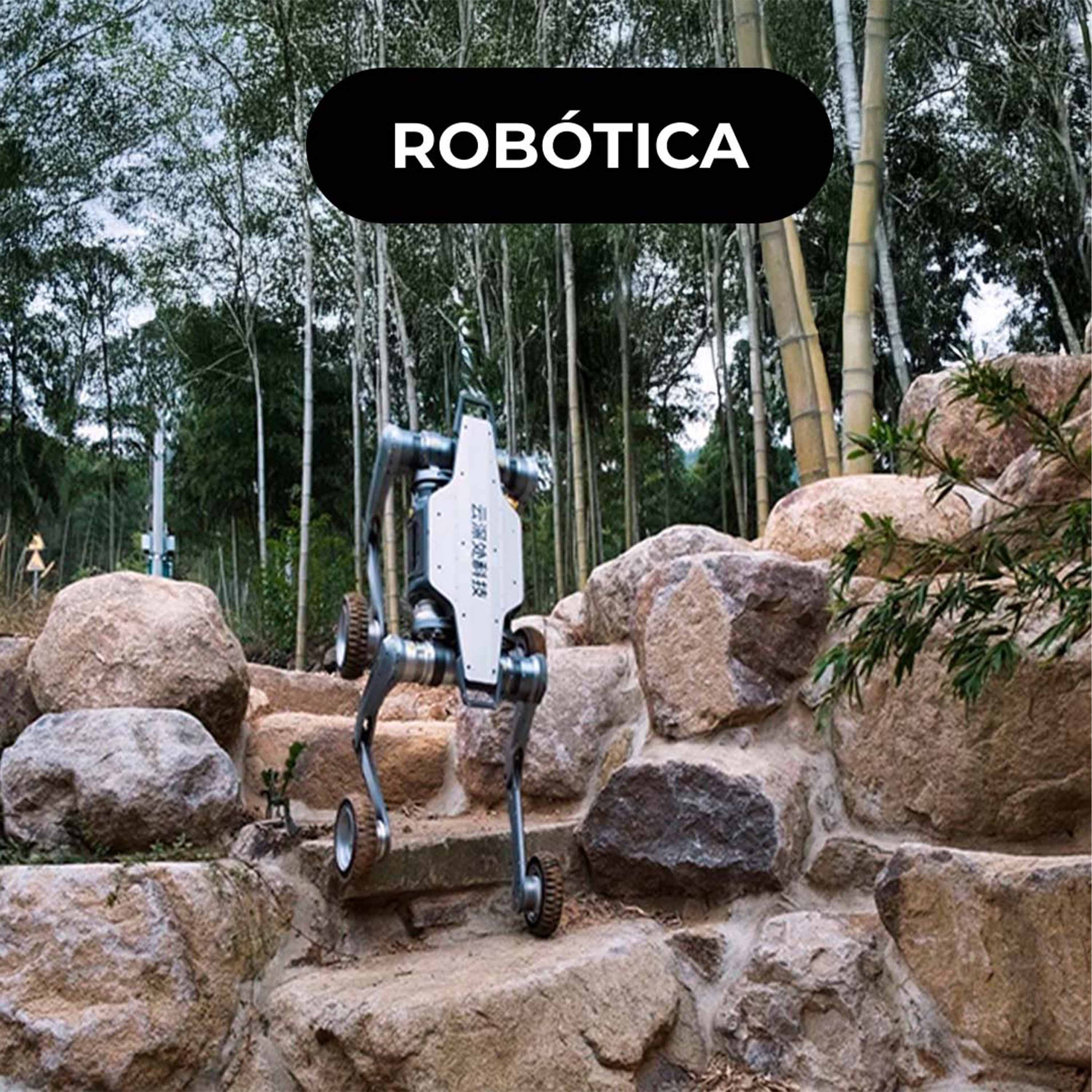 🤖 Lynx: o robô todo-o-terreno que se adapta a vários terrenos e ambientes