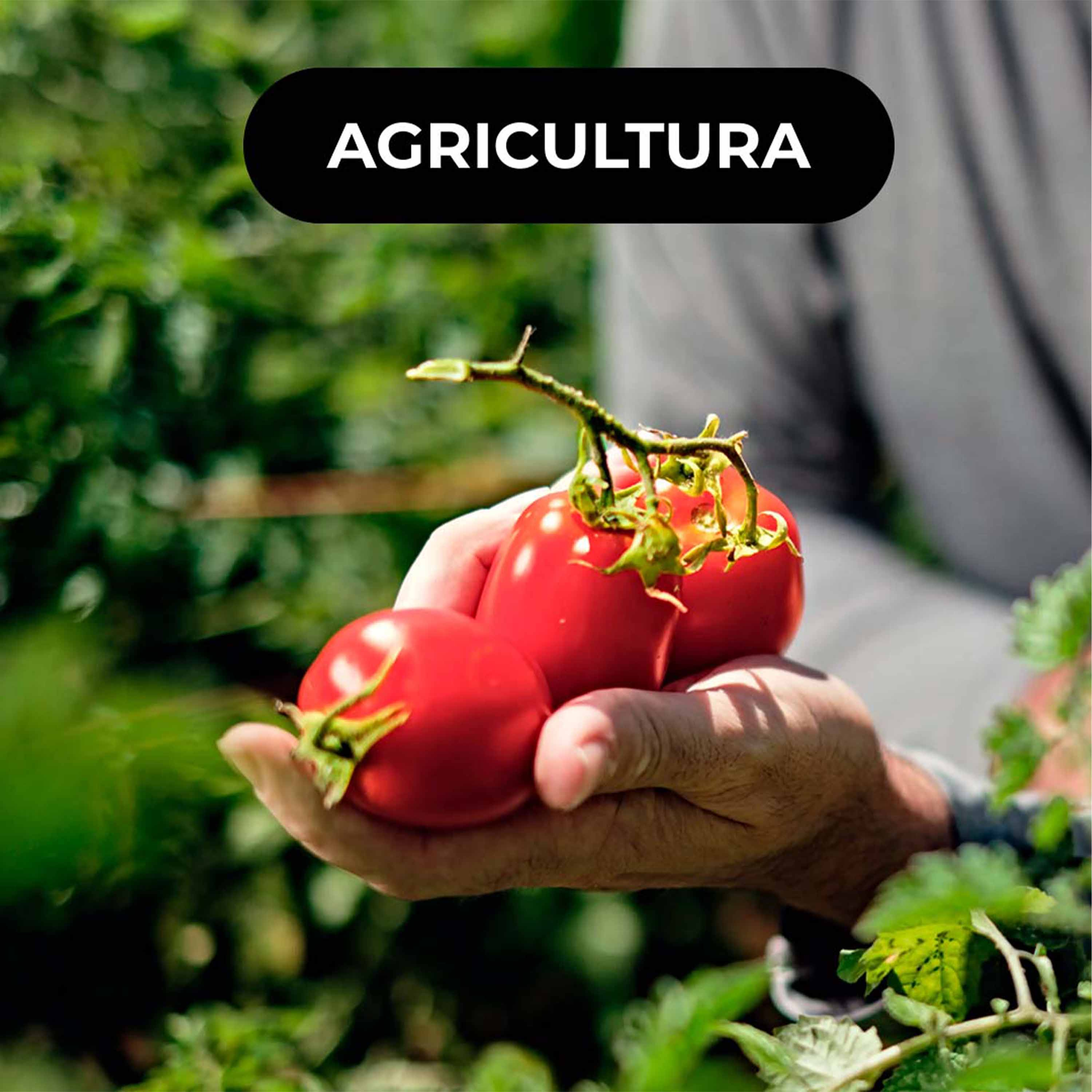 🍅 Heritable Agriculture, AI para melhorar o rendimento das culturas