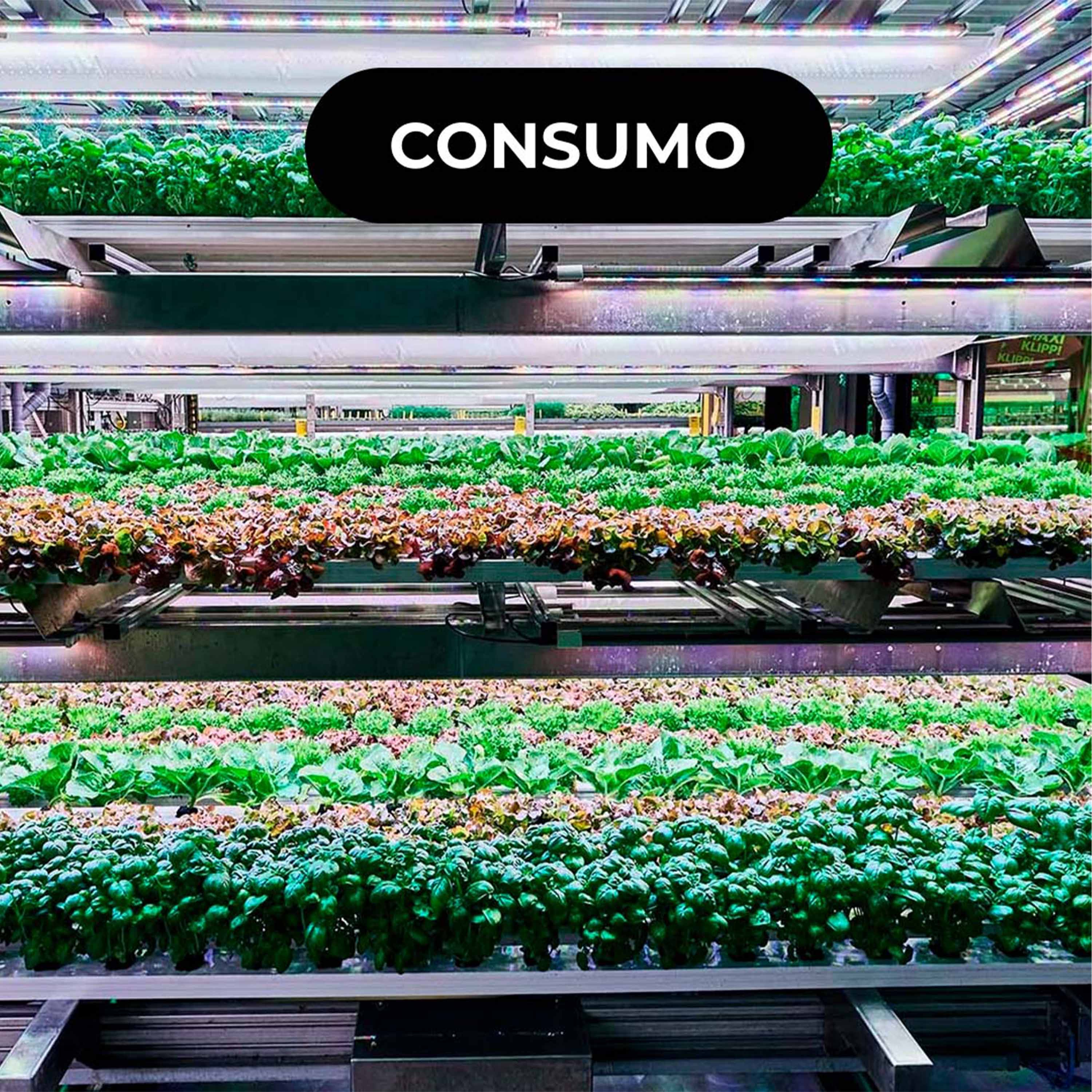 🥬 SweGreen: uma horta dentro do supermercado