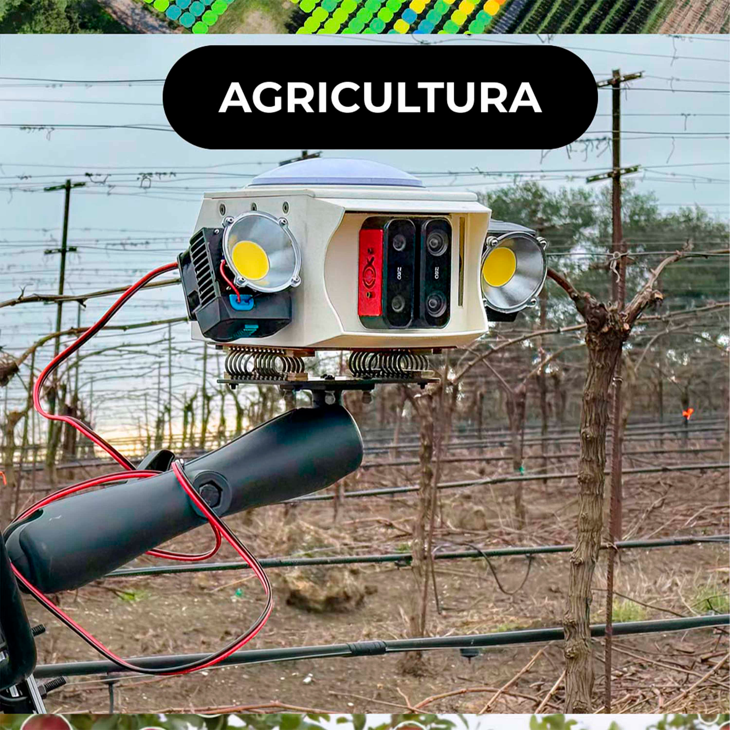 🤖 Orchard: usa inteligência artificial para ajudar agricultores episode artwork