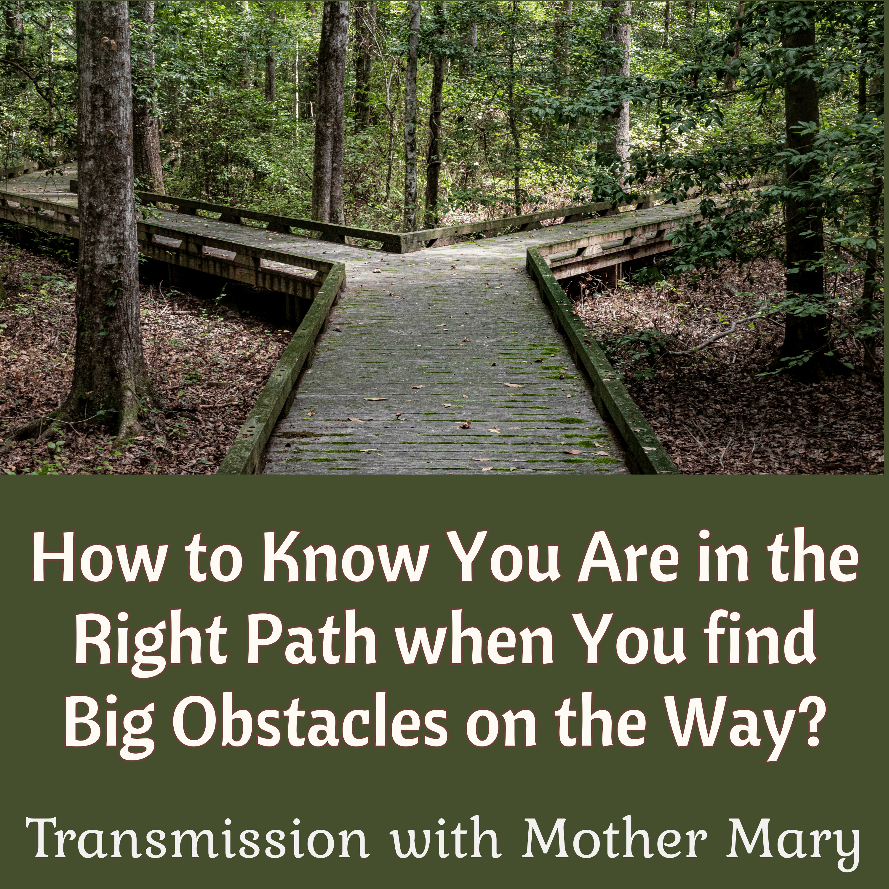 Mother Mary: Discovering Your Right Path; Getting Your Power Back, Ending of Karmic Cycles episode artwork