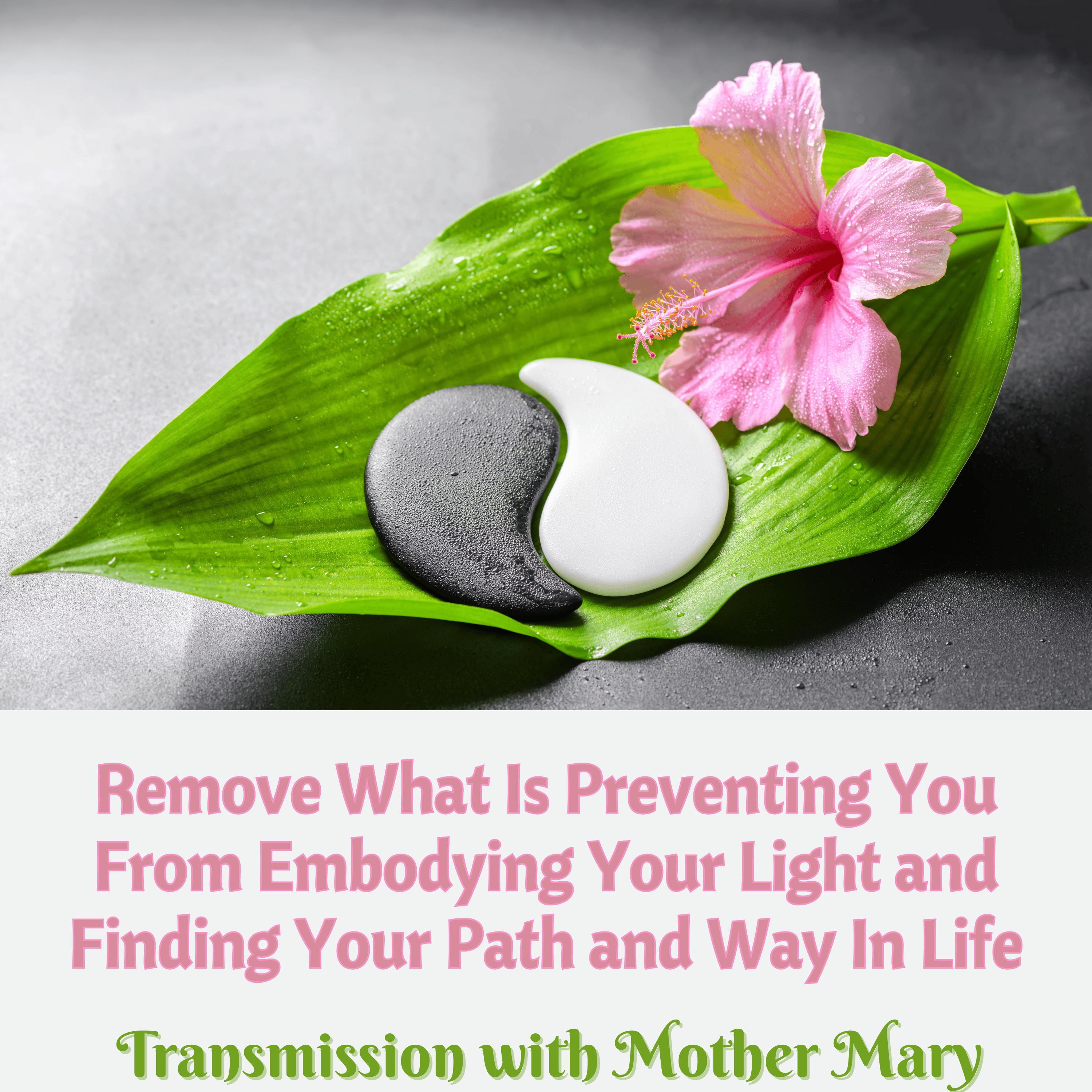 Mother Mary – Healing Transmission: Remove Obstacles to Embodying Your Light and Finding Your Path in Life episode artwork