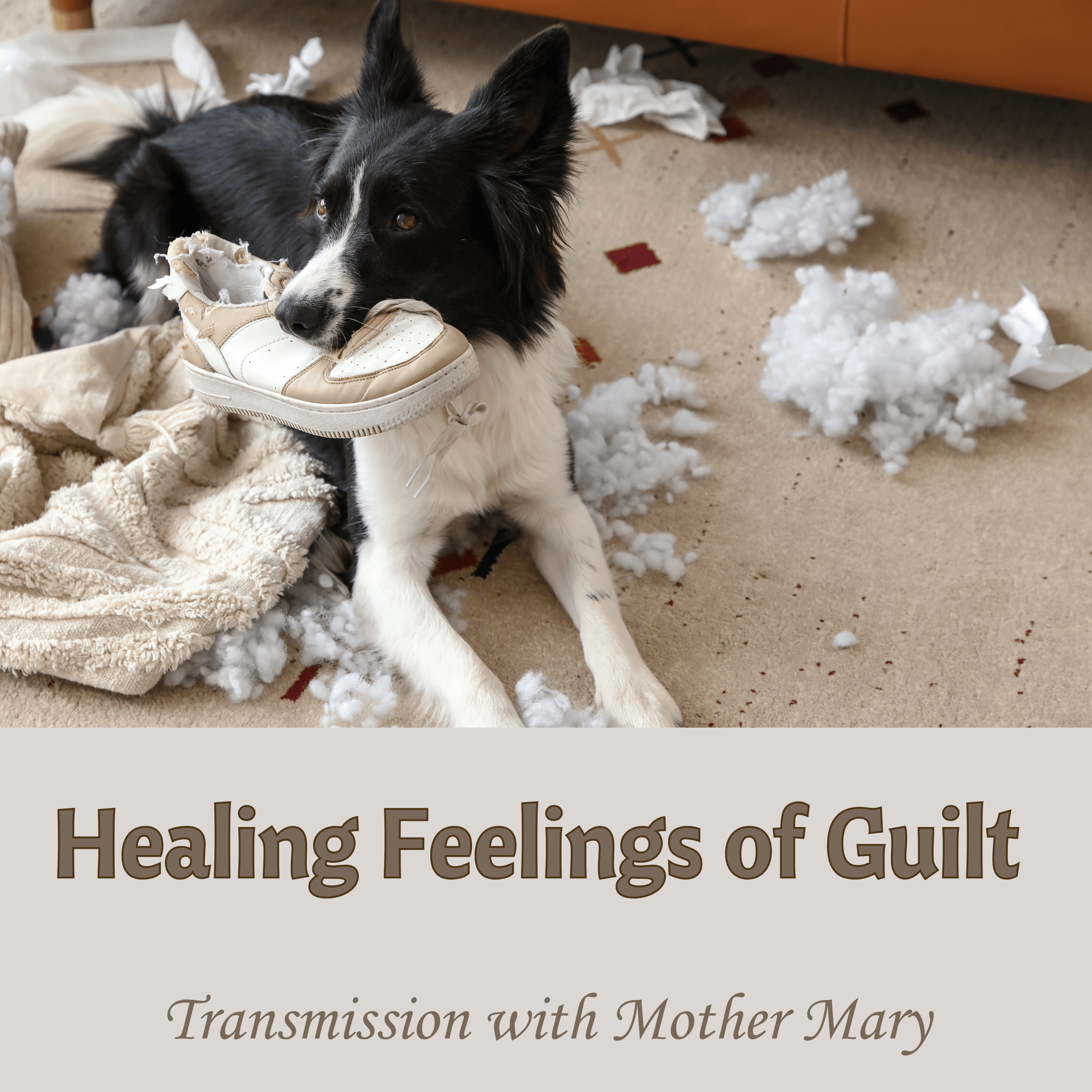 Healing Transmission for Feelings of Guilt with Mother Mary episode artwork
