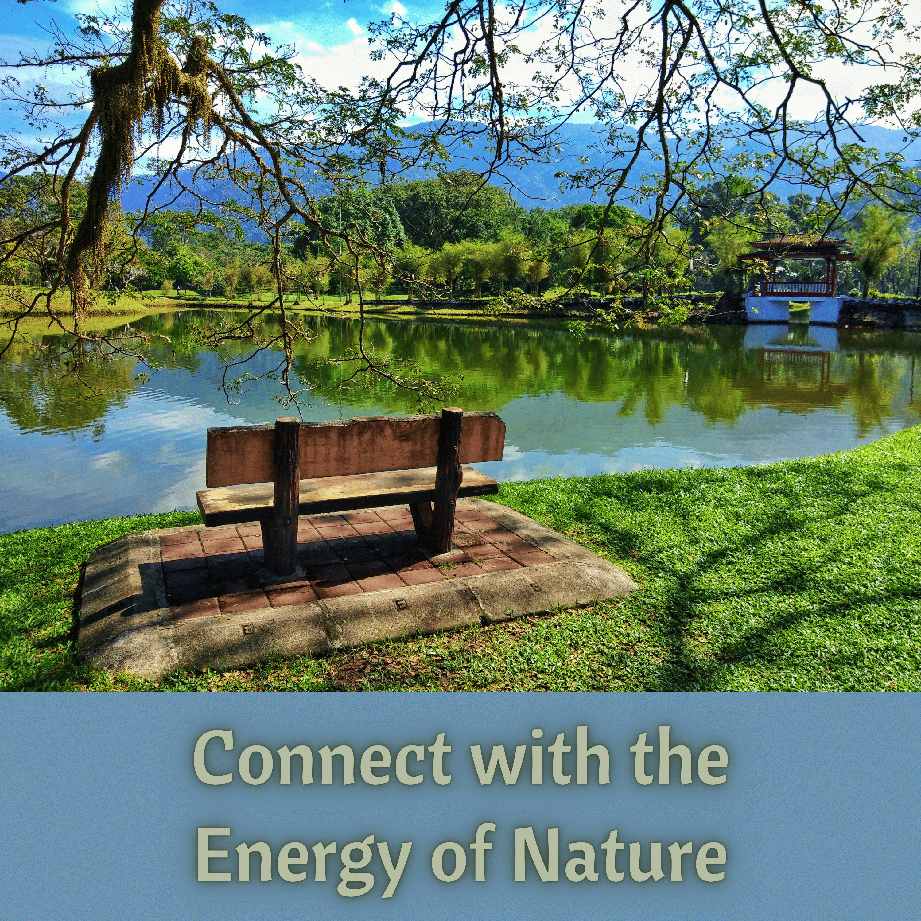 Transmission to Connect with the Energy of Nature episode artwork