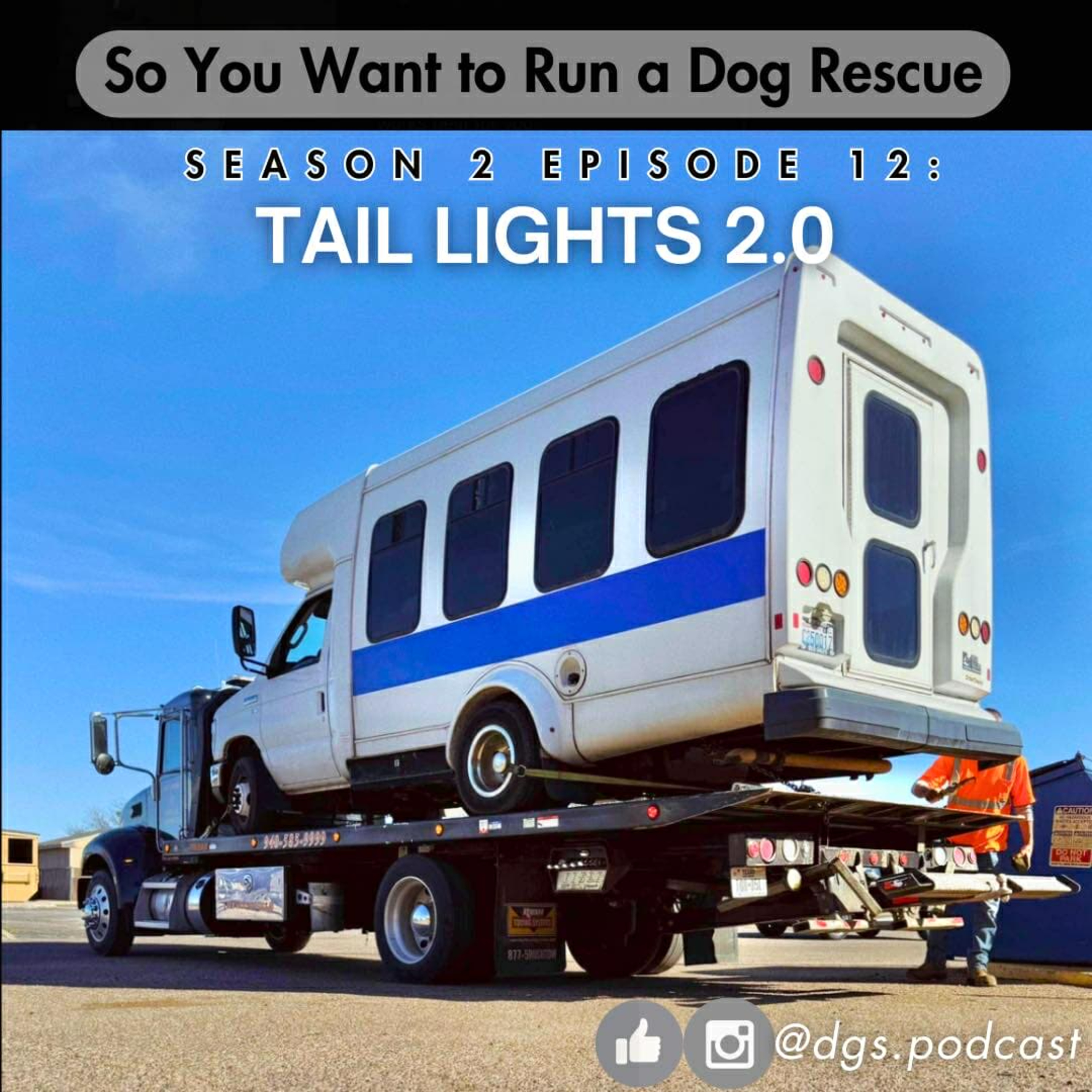 So You Want to Run a Dog Rescue