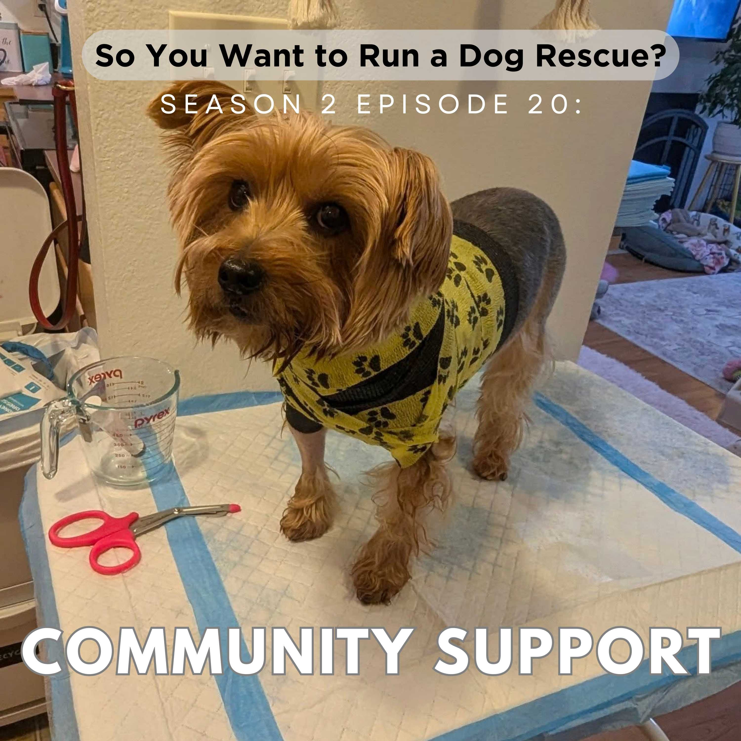 So You Want to Run a Dog Rescue