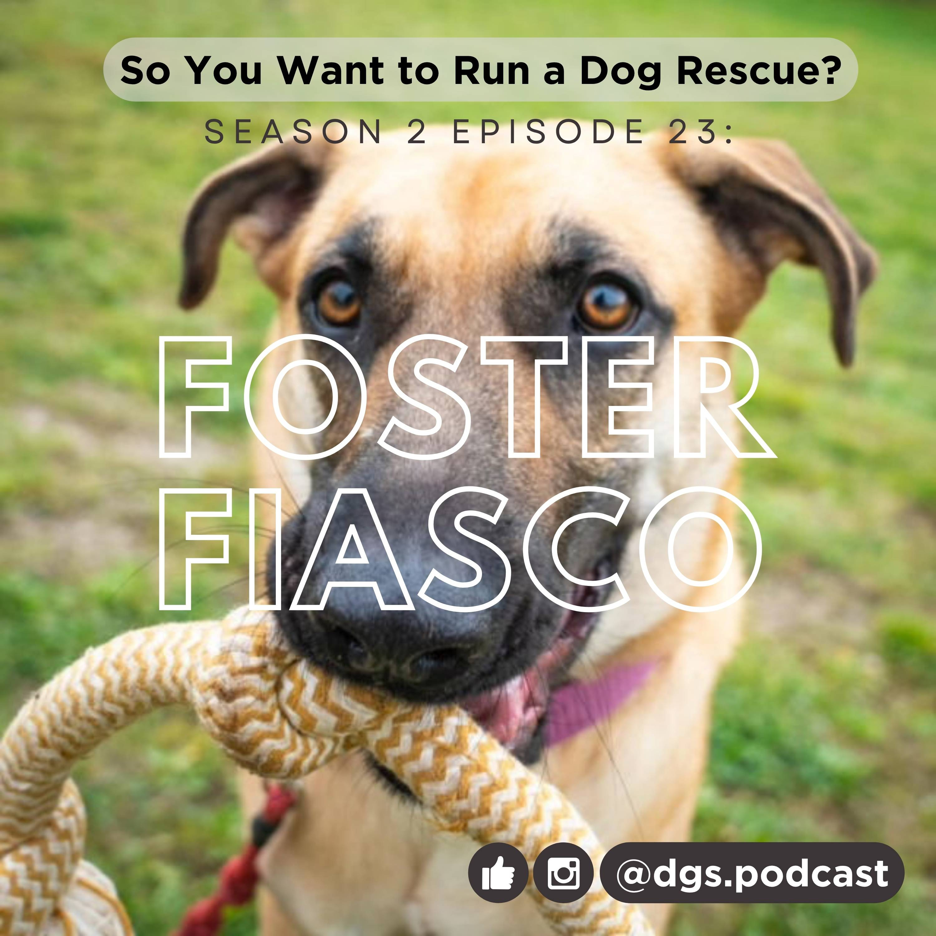 So You Want to Run a Dog Rescue
