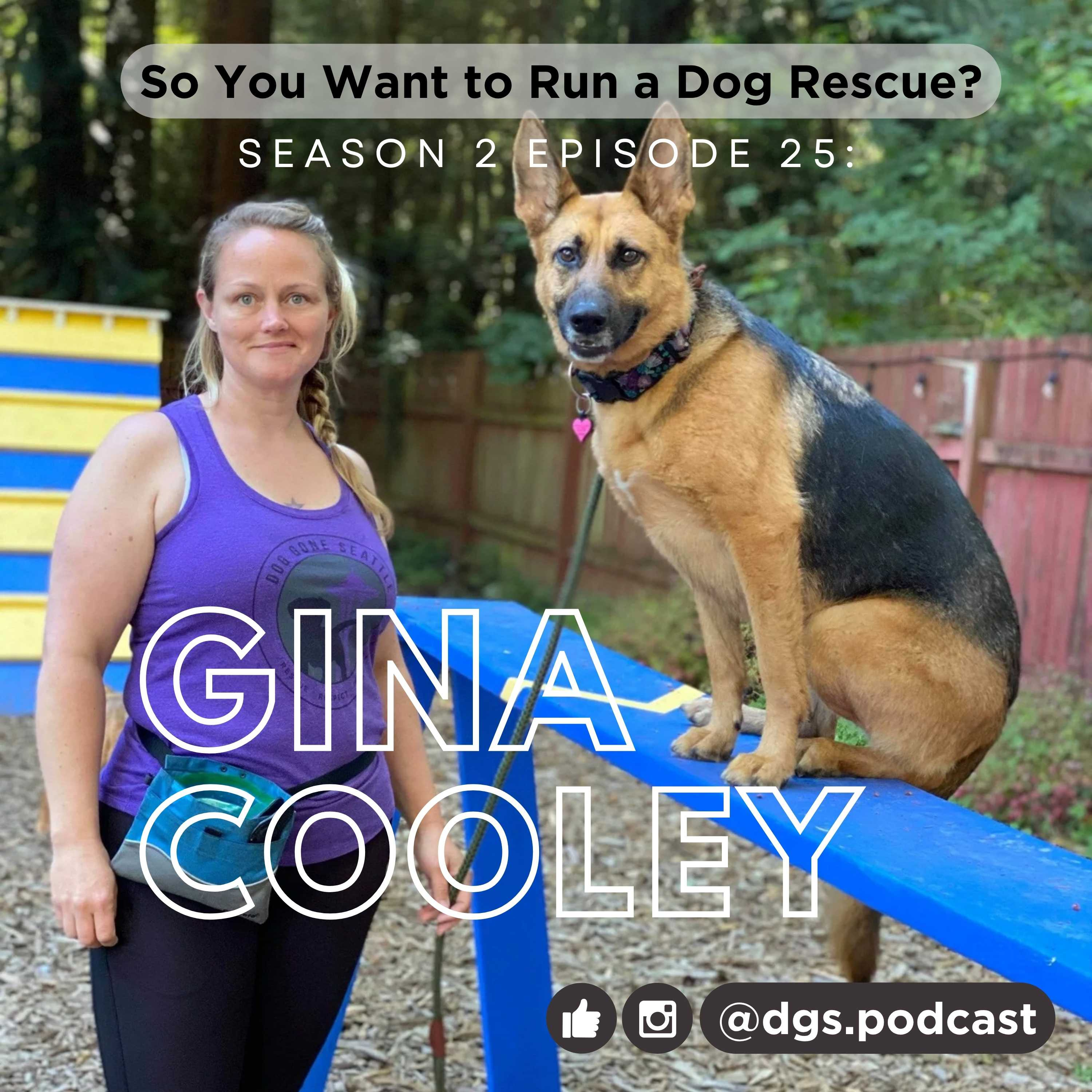 So You Want to Run a Dog Rescue