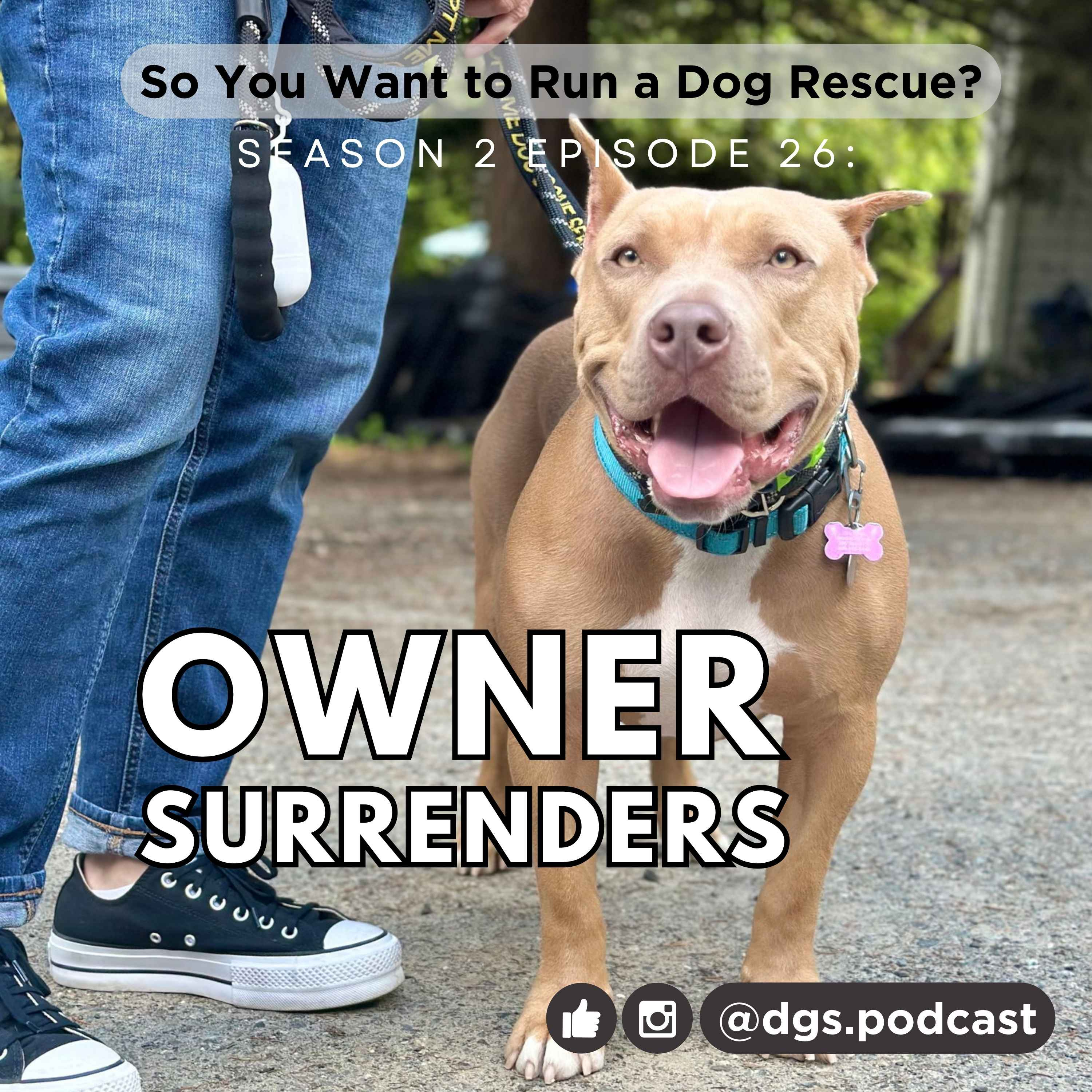 So You Want to Run a Dog Rescue