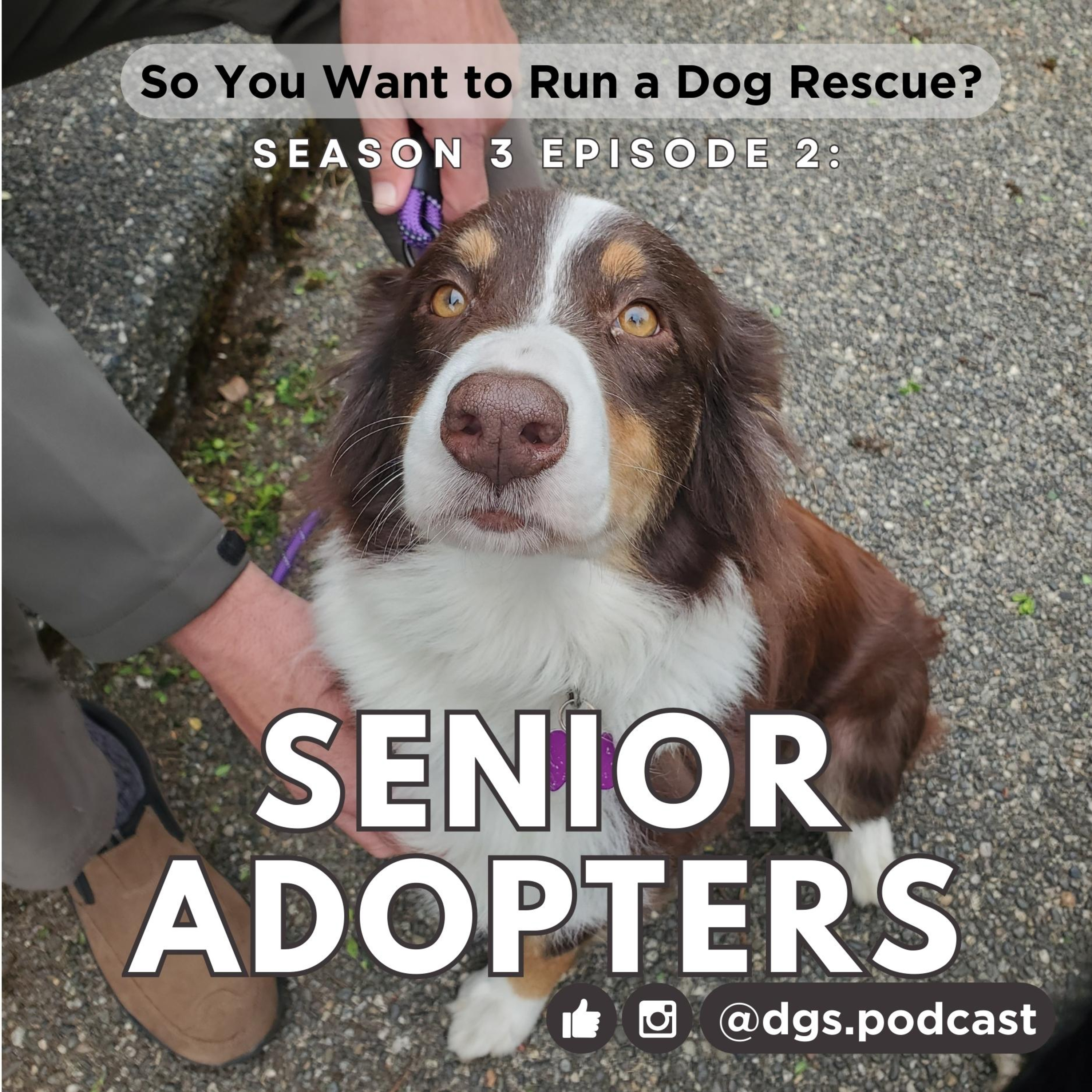 3.2 - Senior Adopters: Balancing Limits, Hard Truths, and Potential Payoffs