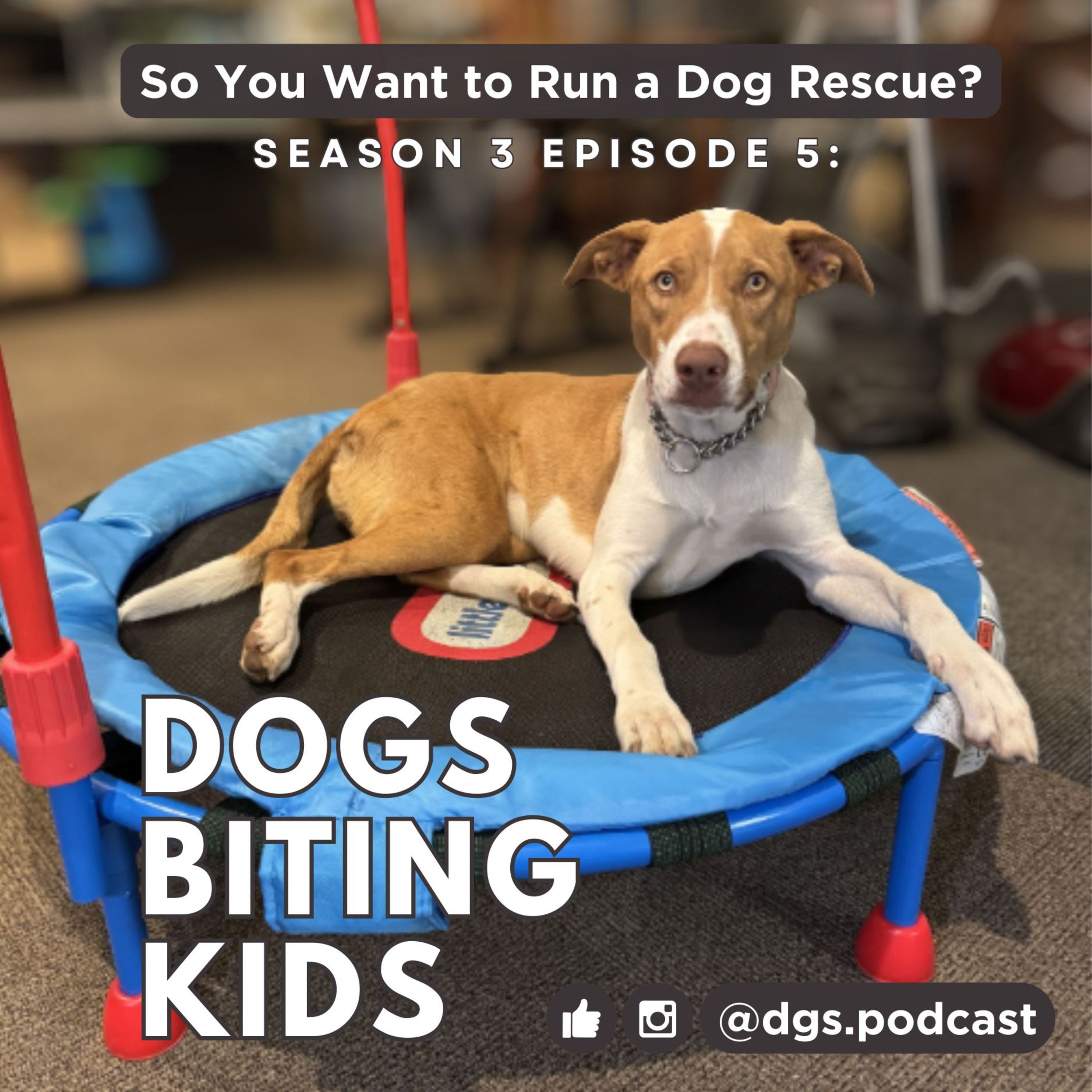 3.5: Dogs Biting Kids + 9-5 Crazy F*cking Shit List = Big Feelings 3.5: Dogs Biting Kids + 9-5 Crazy F*cking Shit List = Big Feelings