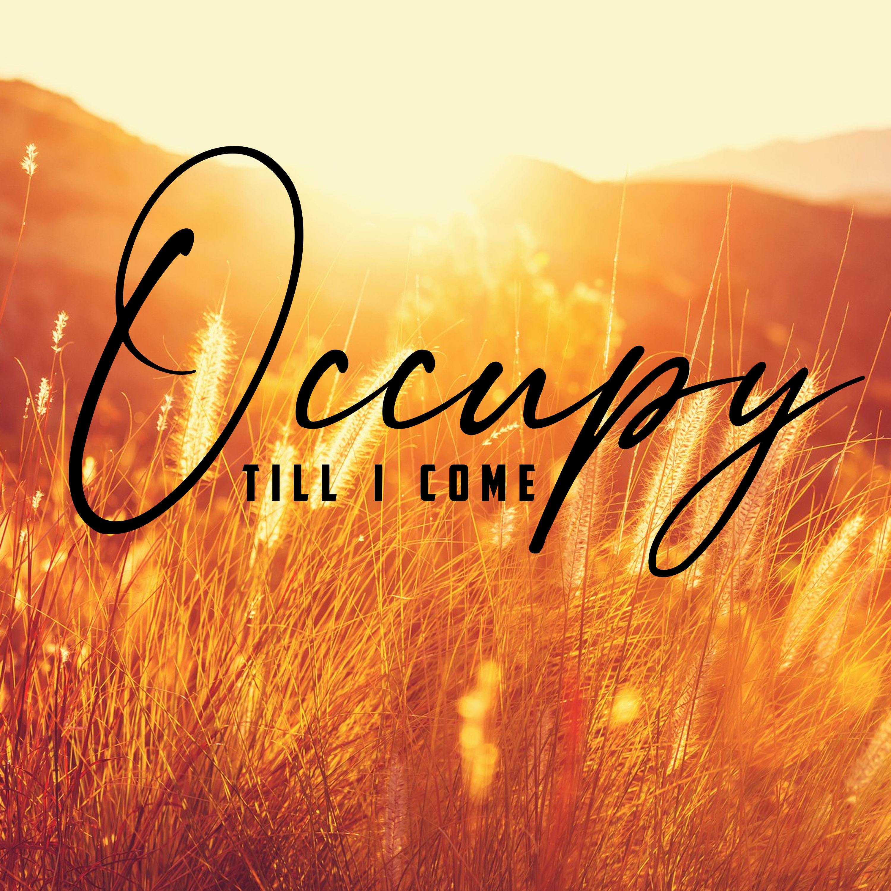 Occupy Till I Come episode artwork