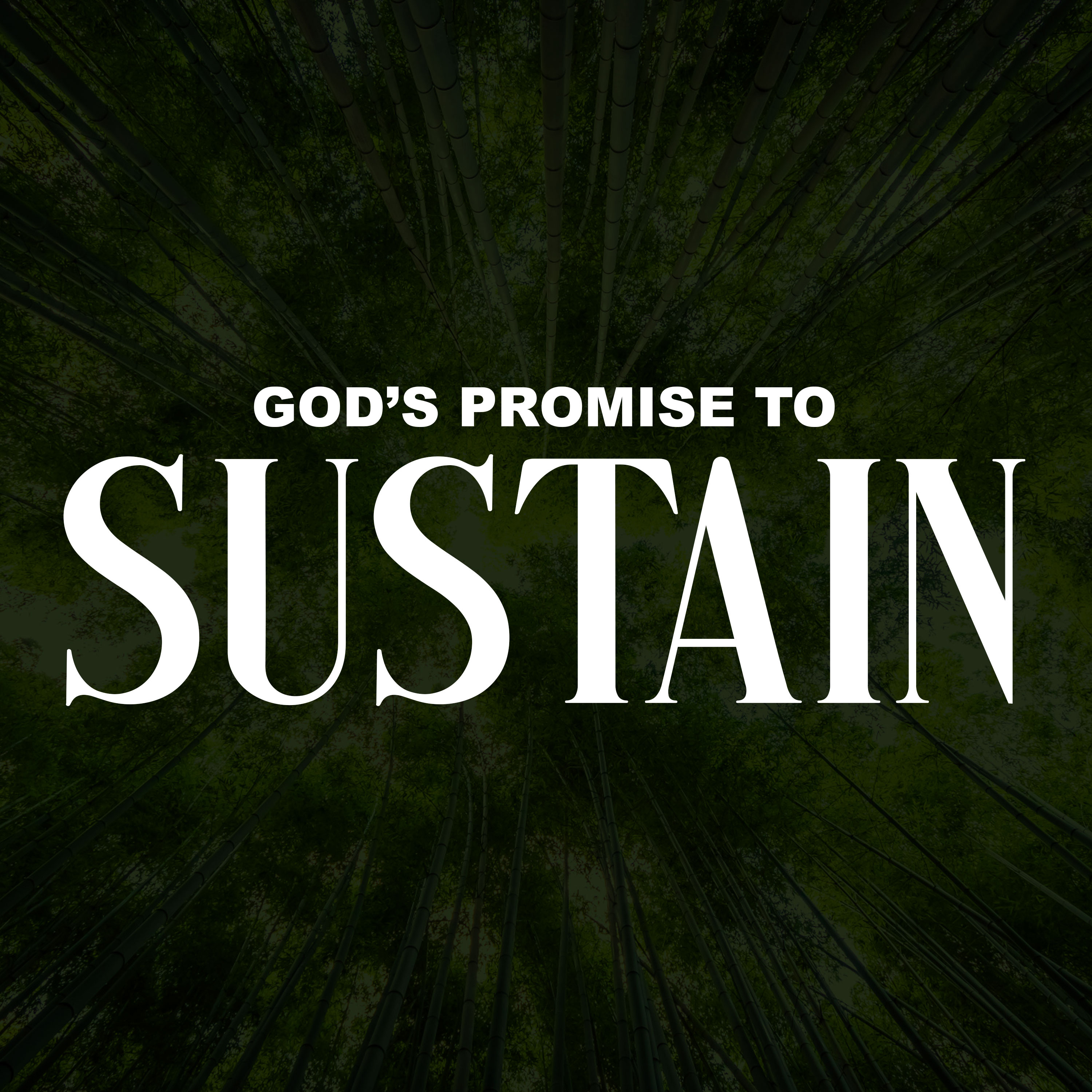 God's Promise to Sustain episode artwork