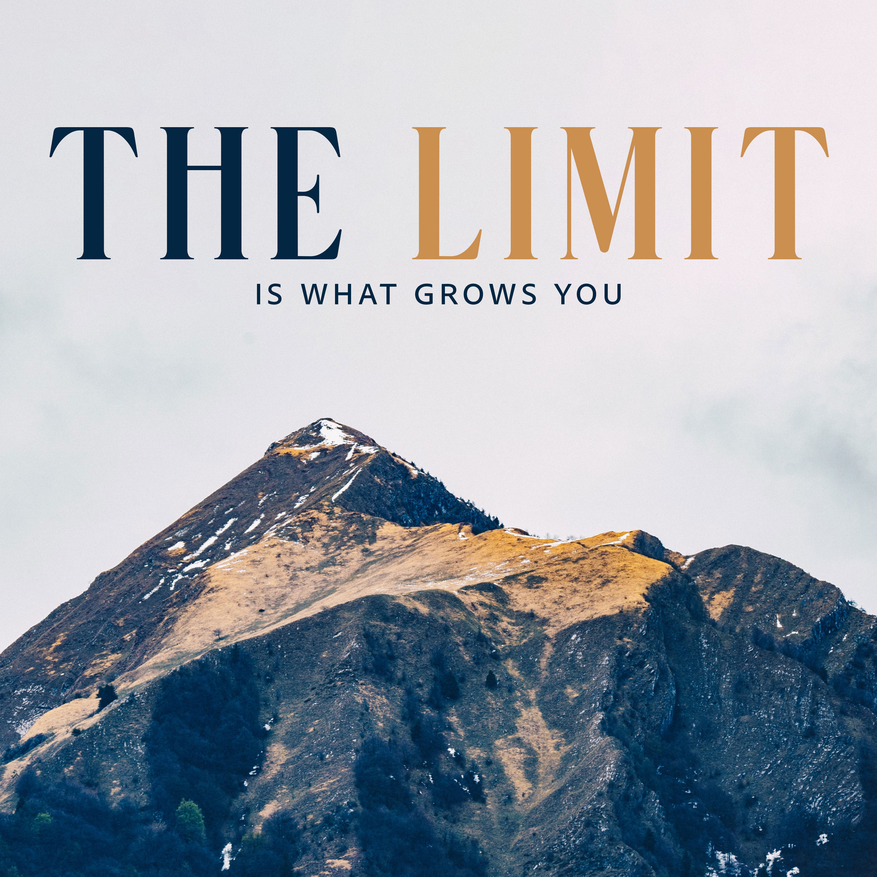 The Limit is What Grows You episode artwork