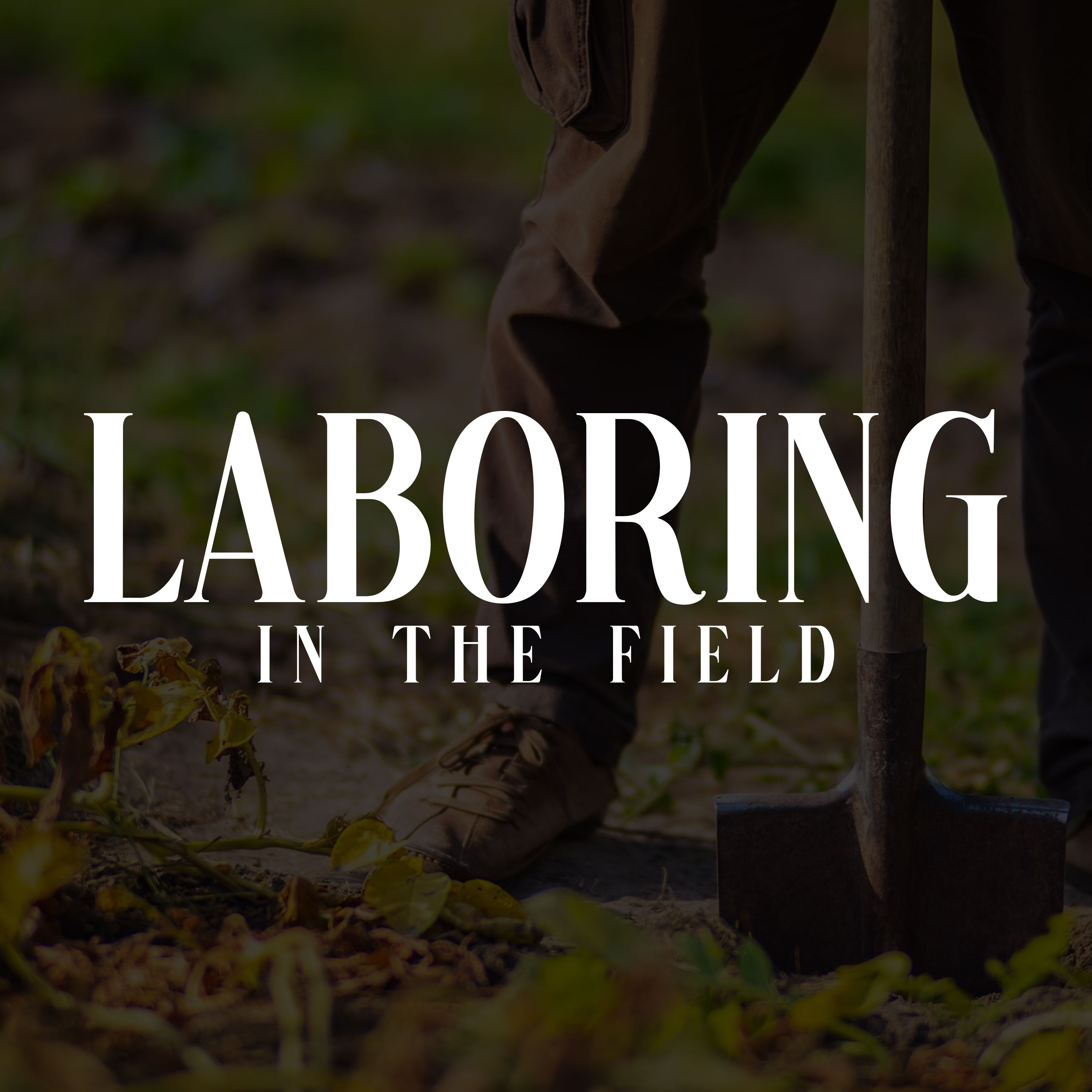 Laboring in the Field episode artwork