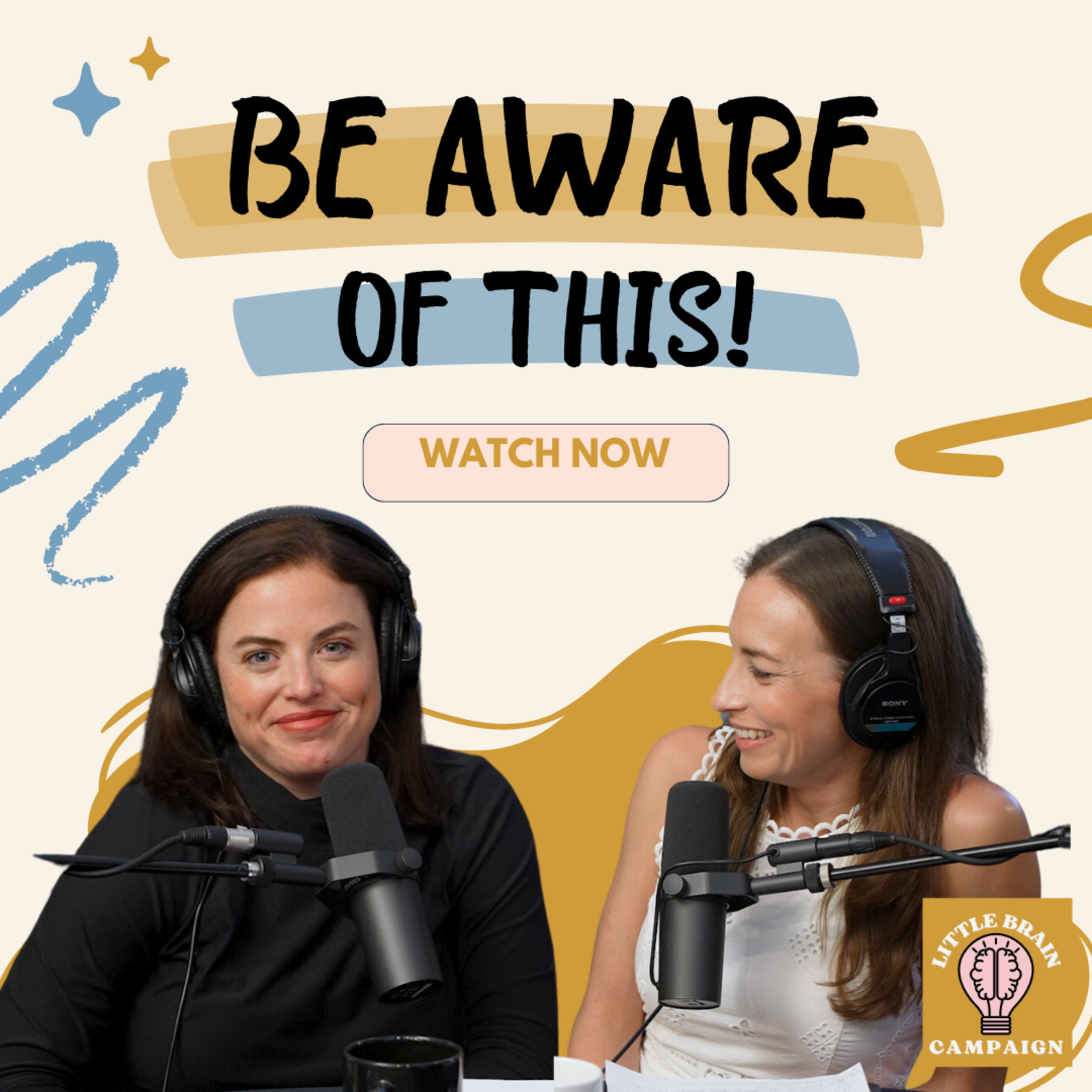 The Little Brain Campaign