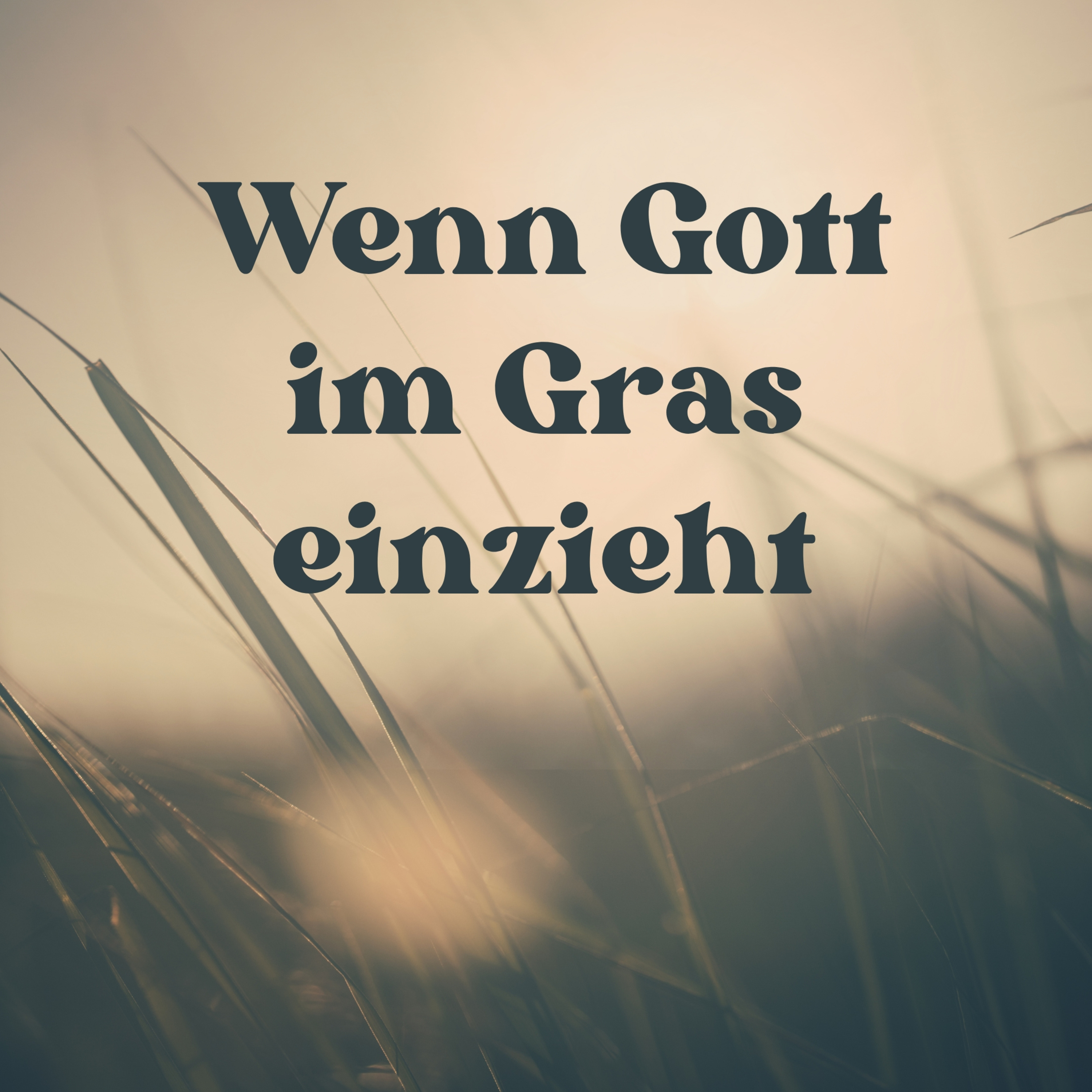 Wenn Gott im Gras einzieht episode artwork