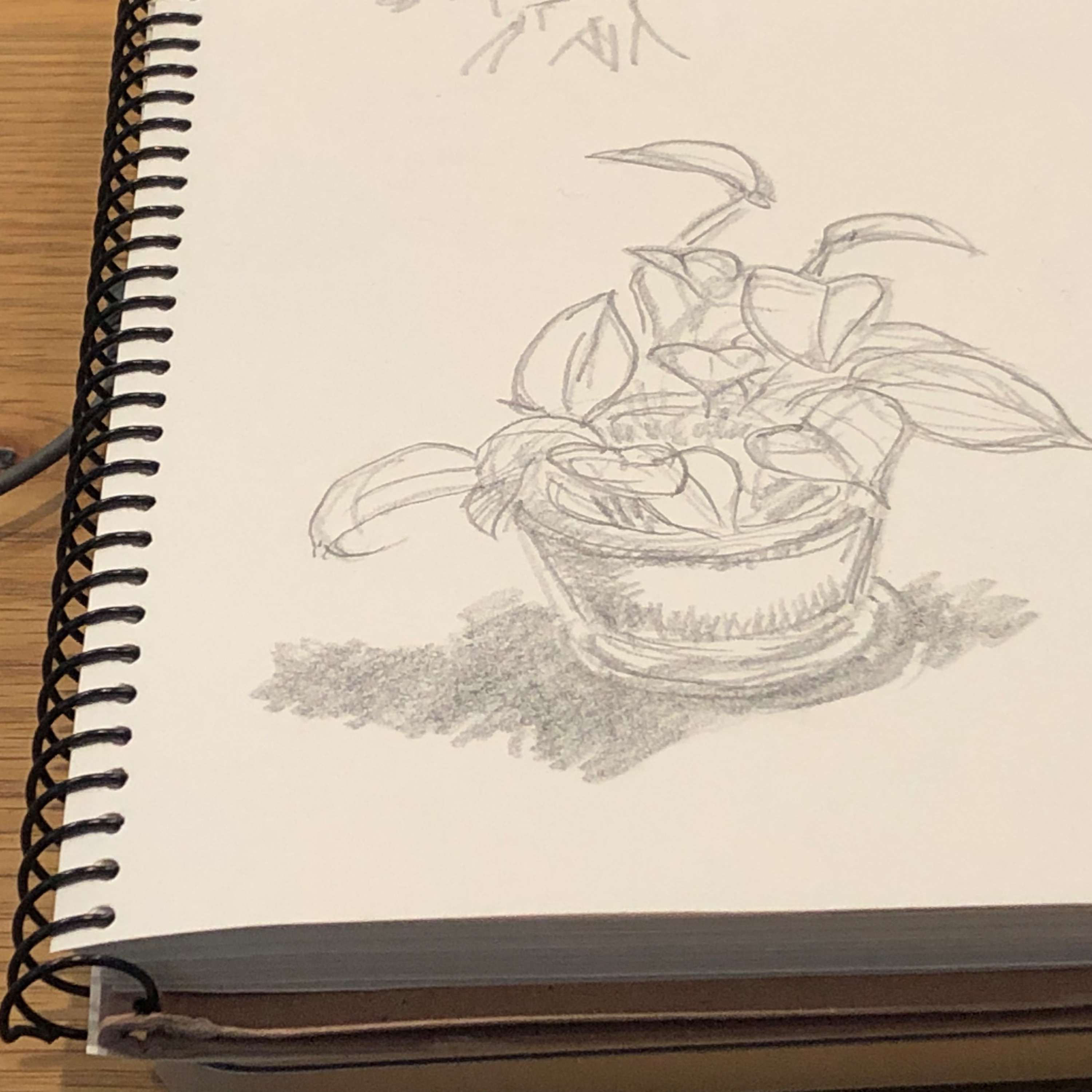 イントロ episode artwork