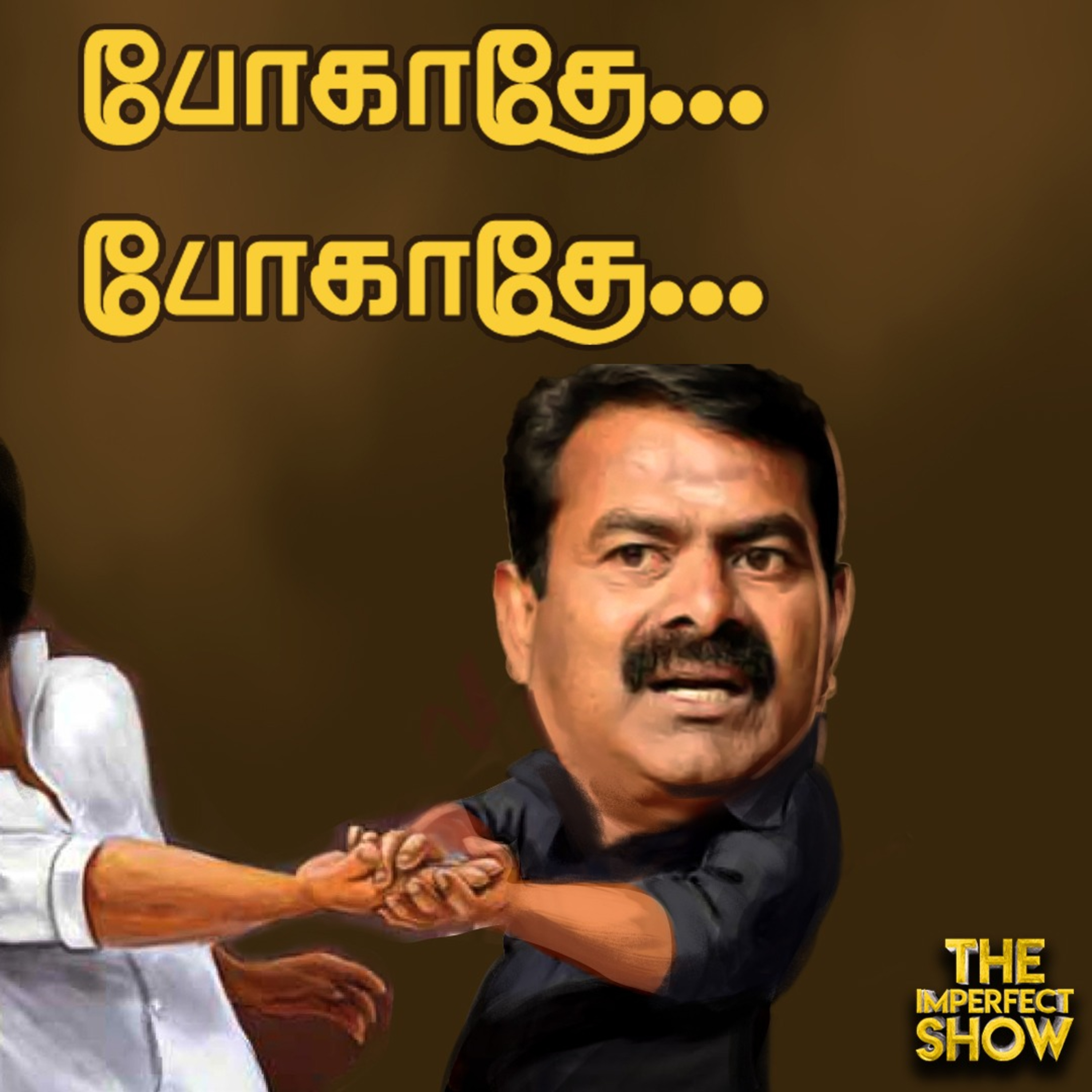 Upset-ல் சீமான்... கட்சி தாவும் தம்பிகள்? | அண்ணாமலைக்கு விரைவில் கல்தா? TVK Vijay Imperfect Show  episode artwork